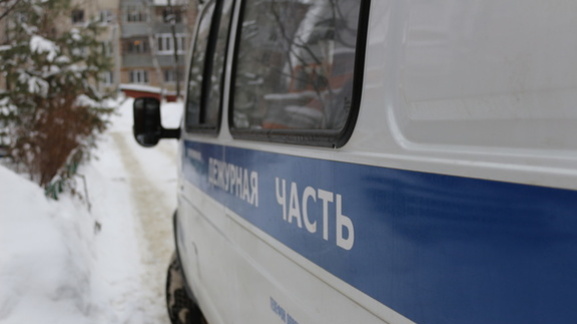Ростовчанина задержали в Ленинградской области за изнасилование двух девочек 9 лет