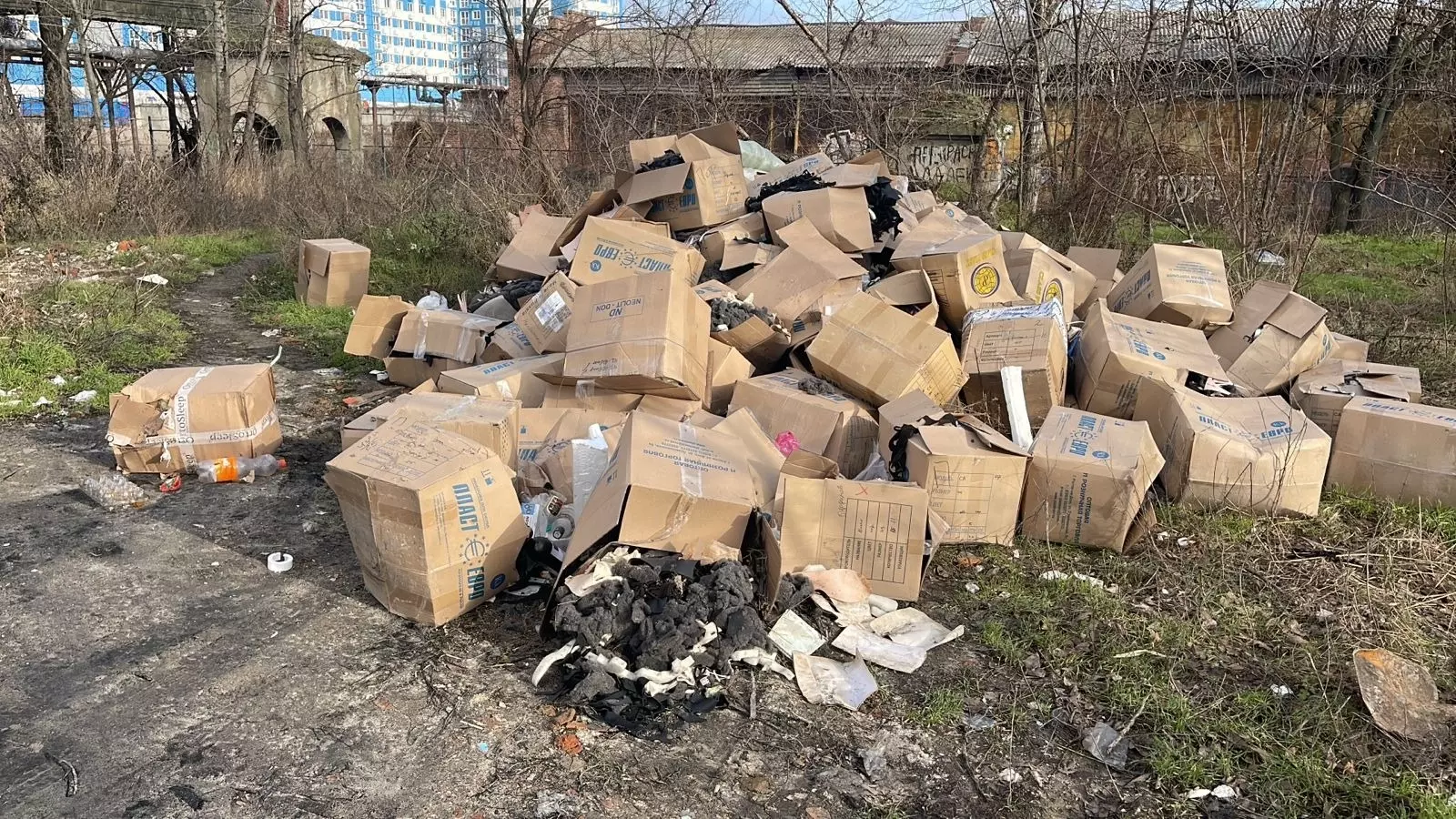 В новогоднюю ночь в рощу в центре Ростова завезли отходы с обувной фабрики