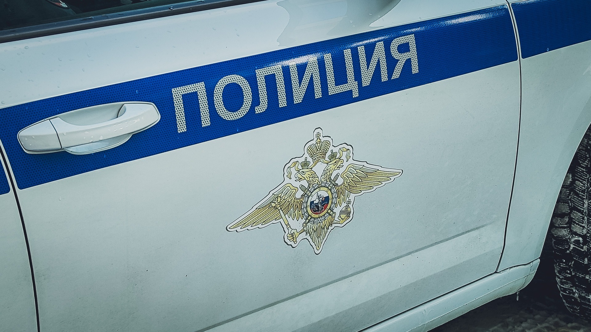 Правоохранительные органы устанавливают обстоятельства драки в Ростове
