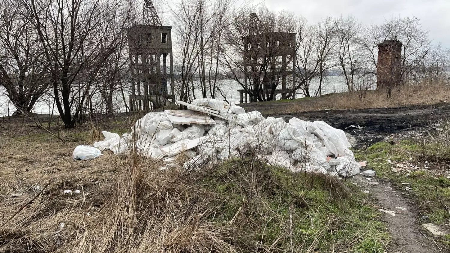 Новая гора строительных отходов появилась в роще возле Дона на Береговой в Ростове 9 февраля в районе 14.00 мск