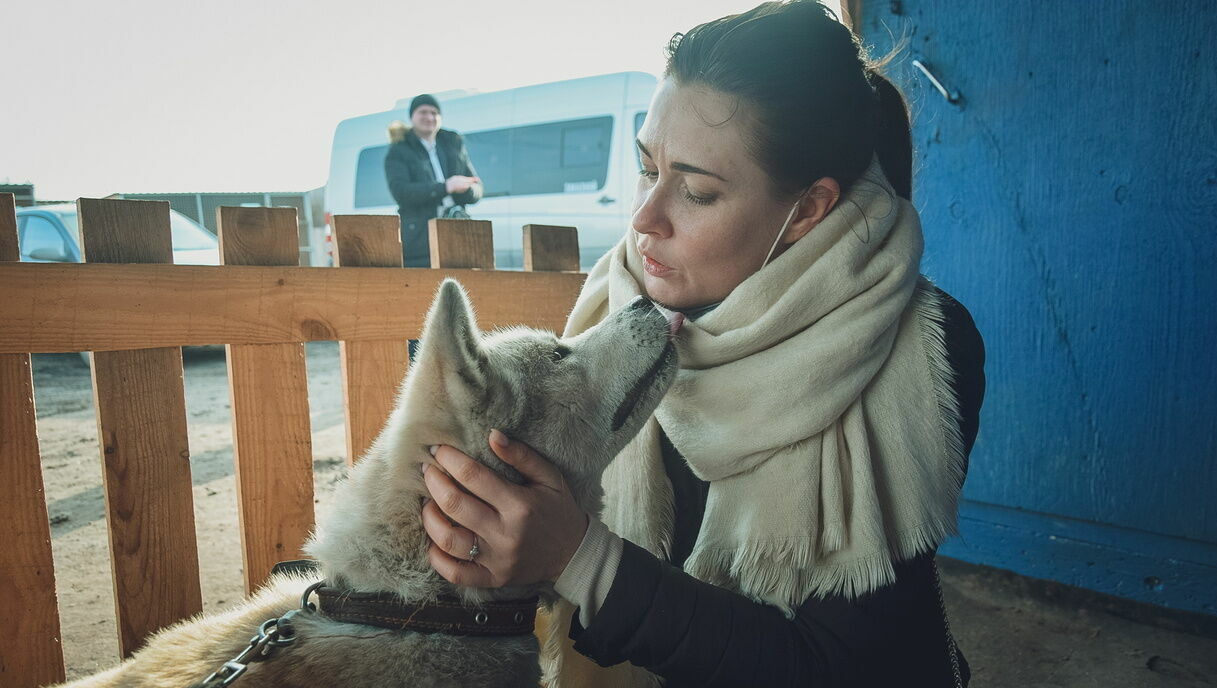 Зоозащитники Ростова считают нелепой сумму штрафа за жестокое обращение с животными