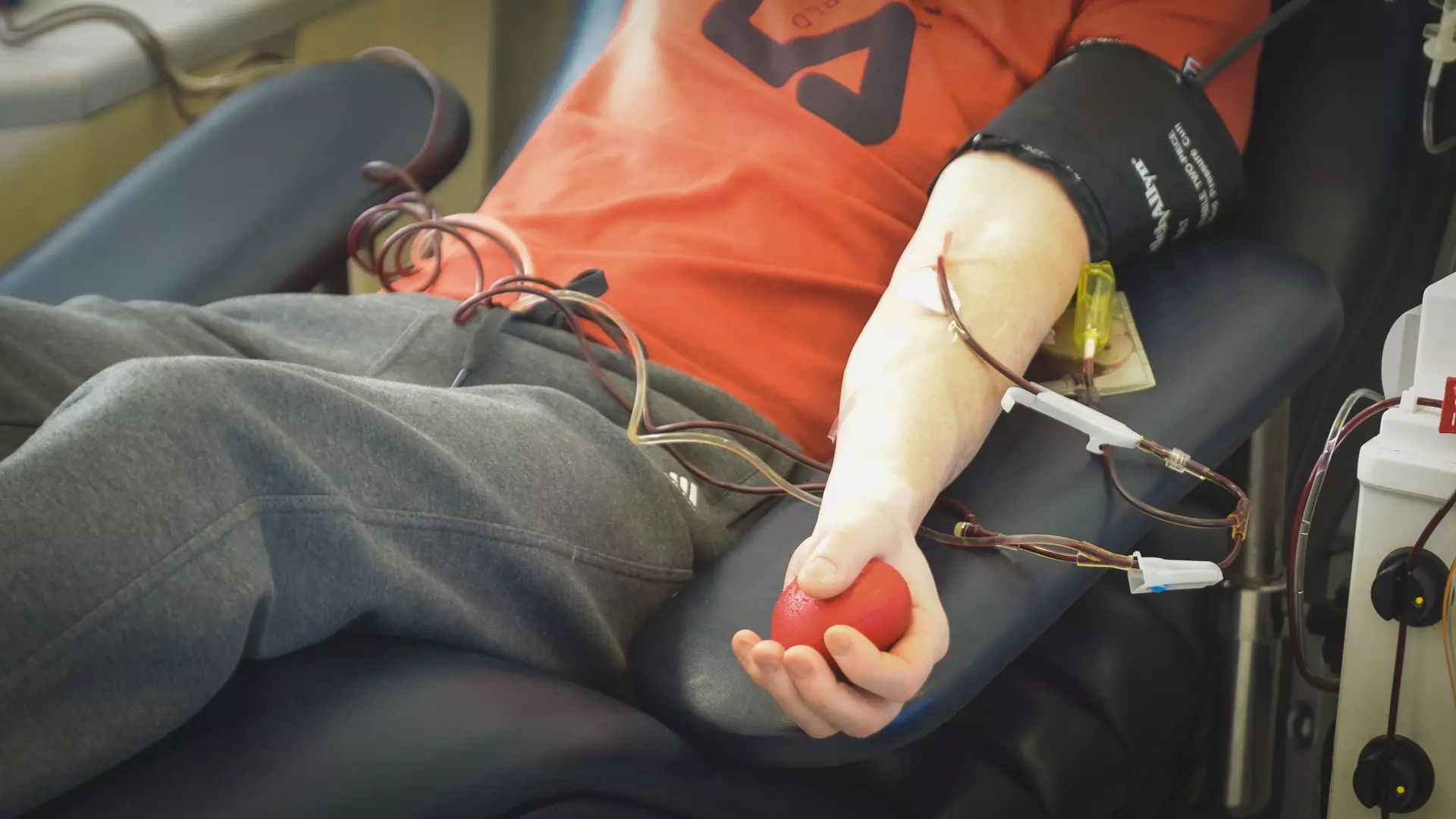 Кровь ростовских доноров направят в полевые госпитали в зоне спецоперации