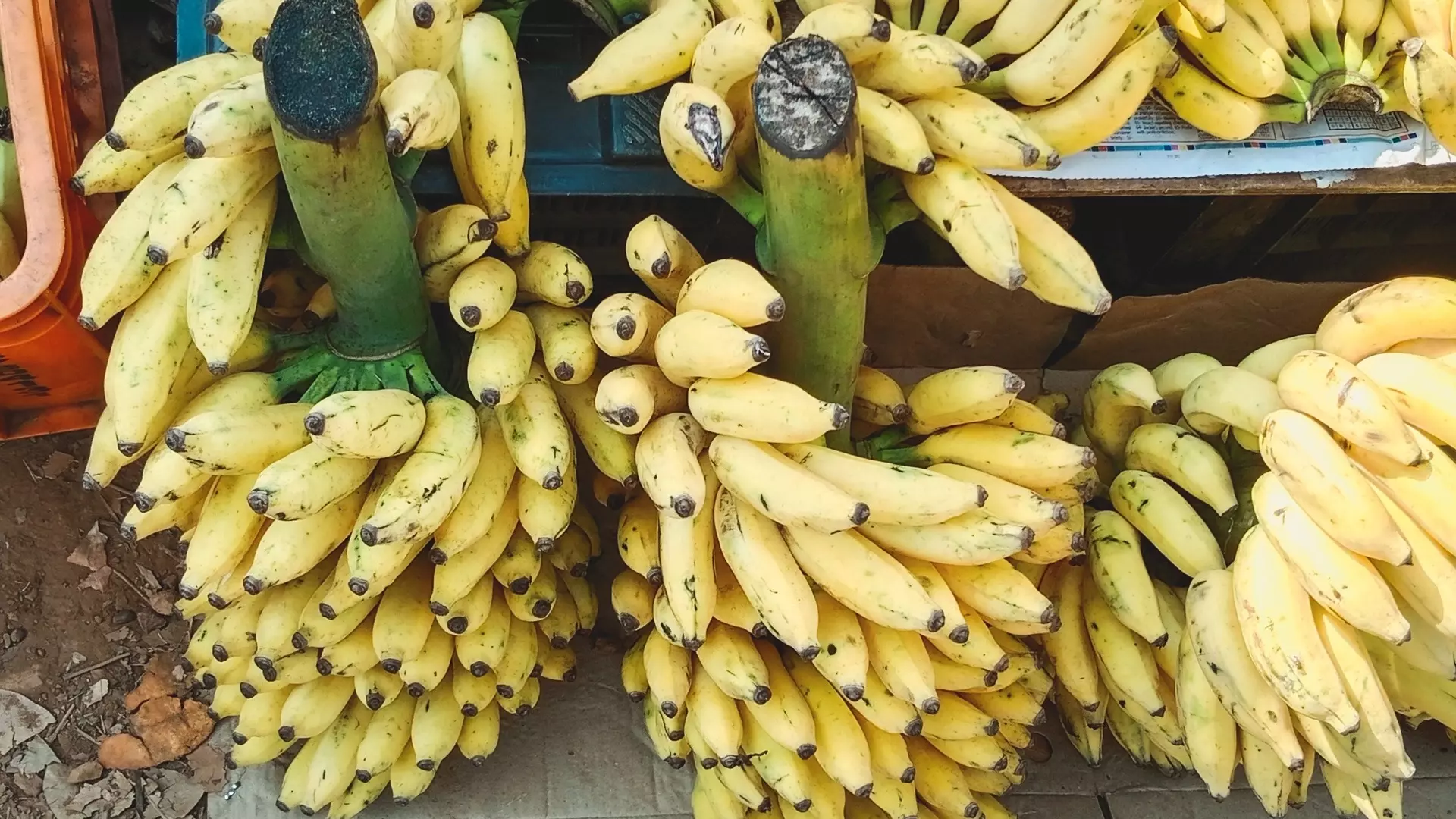 В ЦБ объяснили высокие цены на бананы в Ростовской области