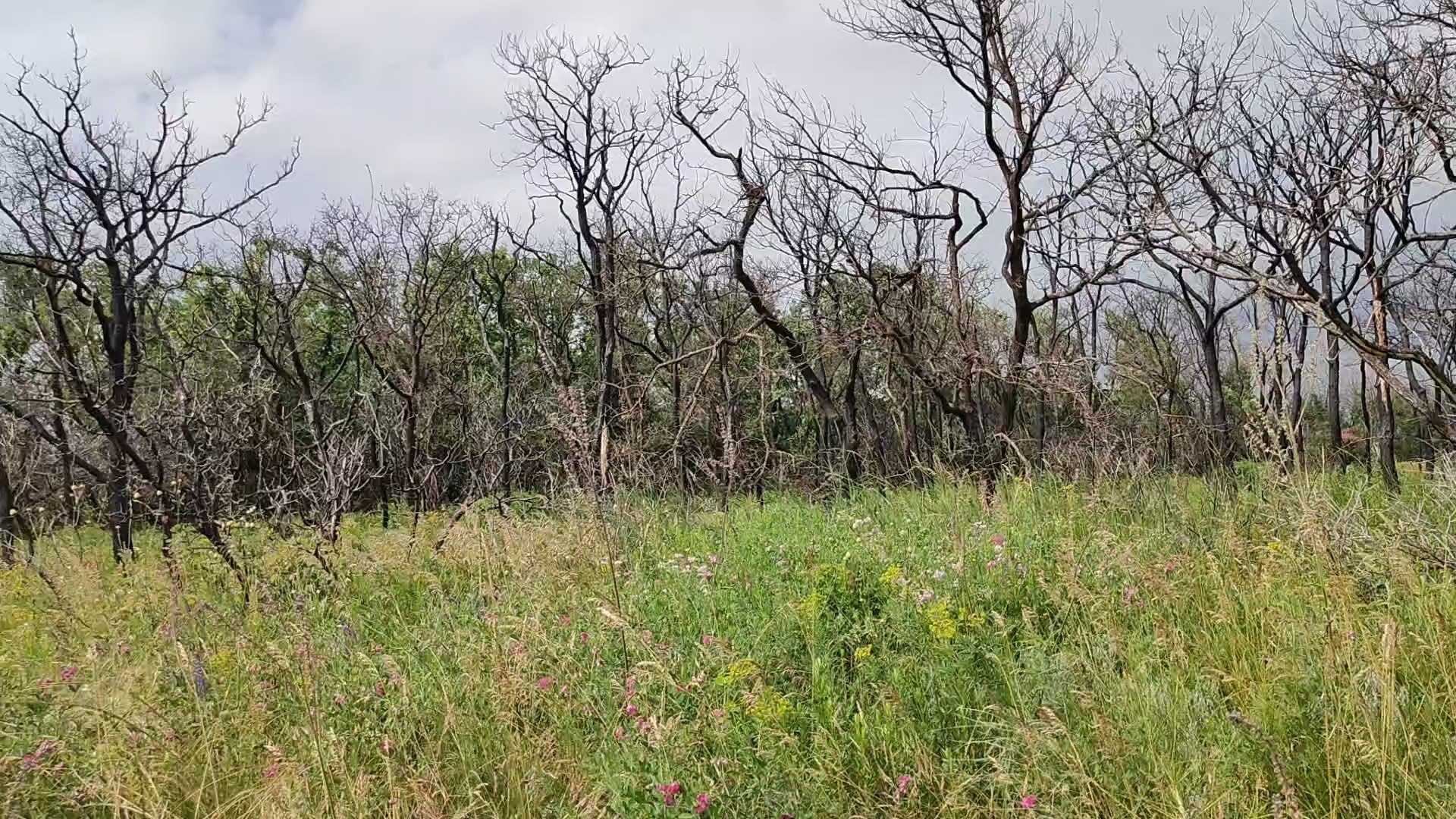 Туристы пожаловались на удручающее состояние экомаршрута в Ростовской области