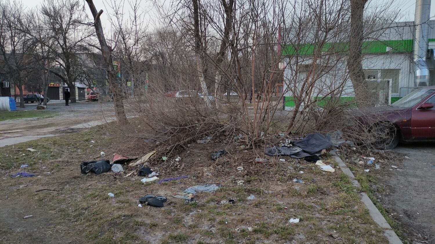 Местные жители рассказывают, что эту гору мусора возле магазина не убирают никогда 