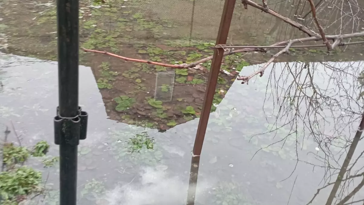 Горожане пожаловались на подтопление домов грунтовыми водами на Западном в Ростове