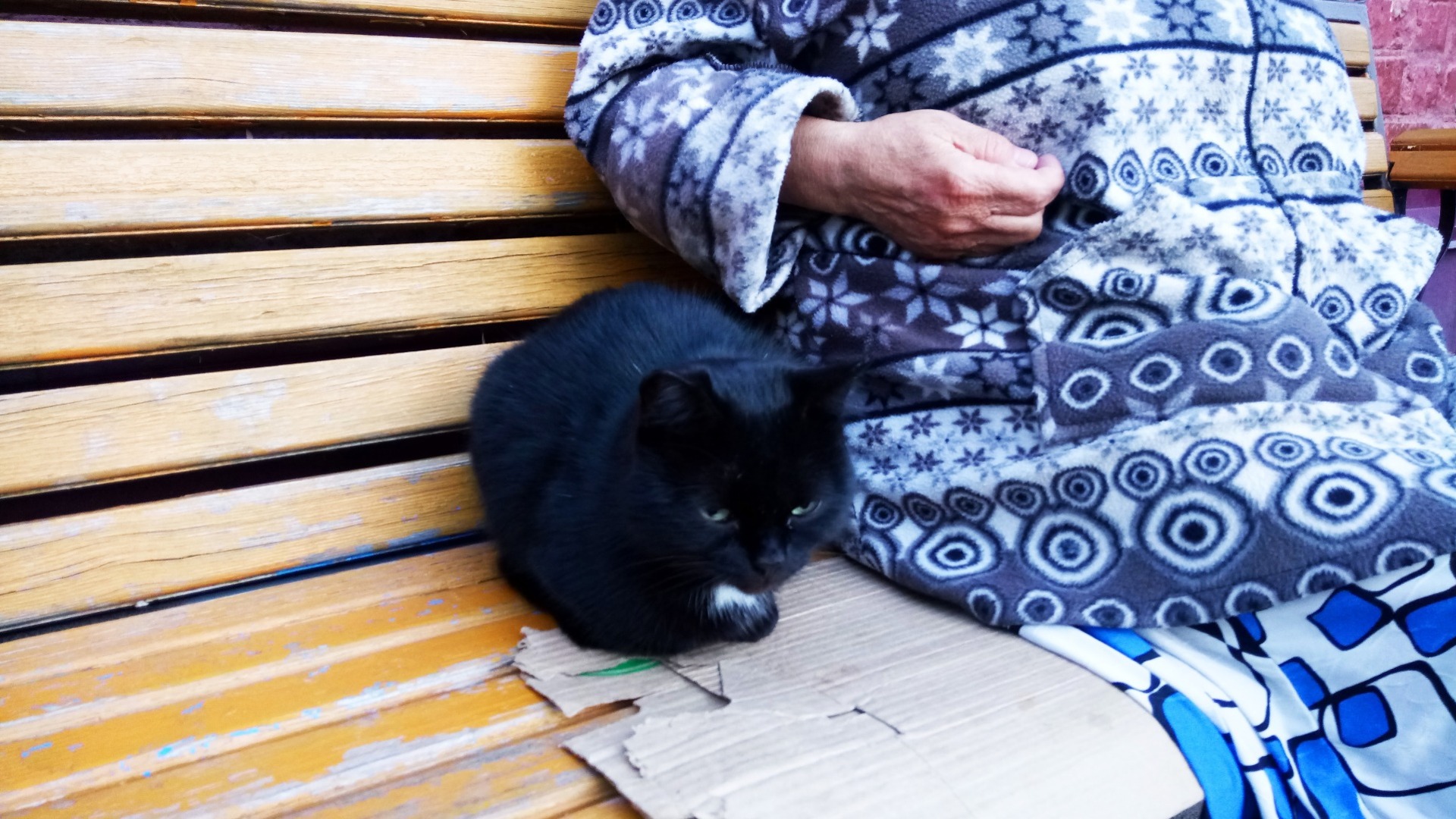 В Таганроге пропала пенсионерка, страдающая от провалов в памяти