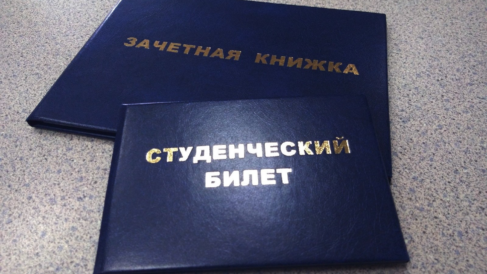 В Ростове-на-Дону орудуют мошенники, которые за взятки предлагают места в вузах