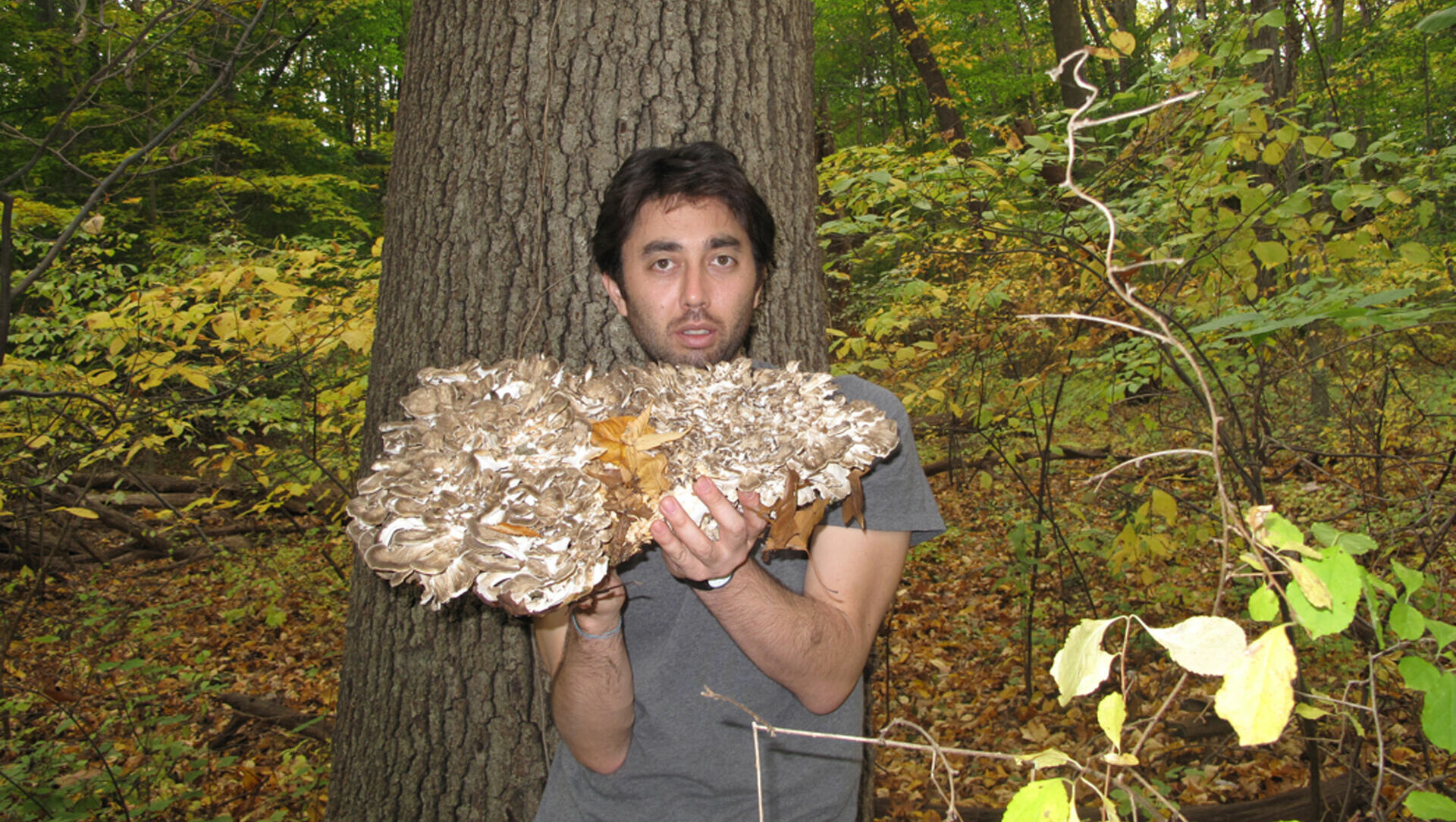 Где лучше всего собирать грибы в Ростовской области и какие можно найти