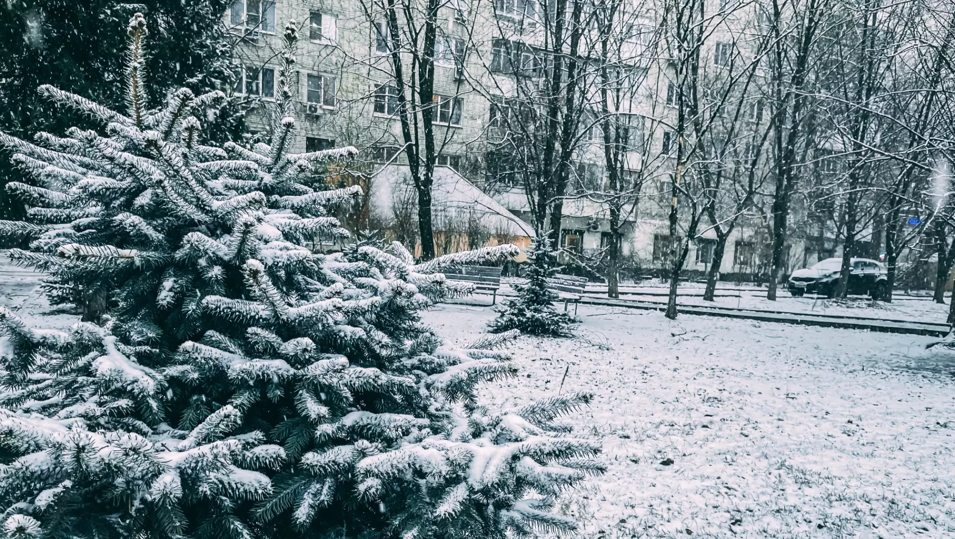 В январе в Ростовской области ударят 19-градусные морозы