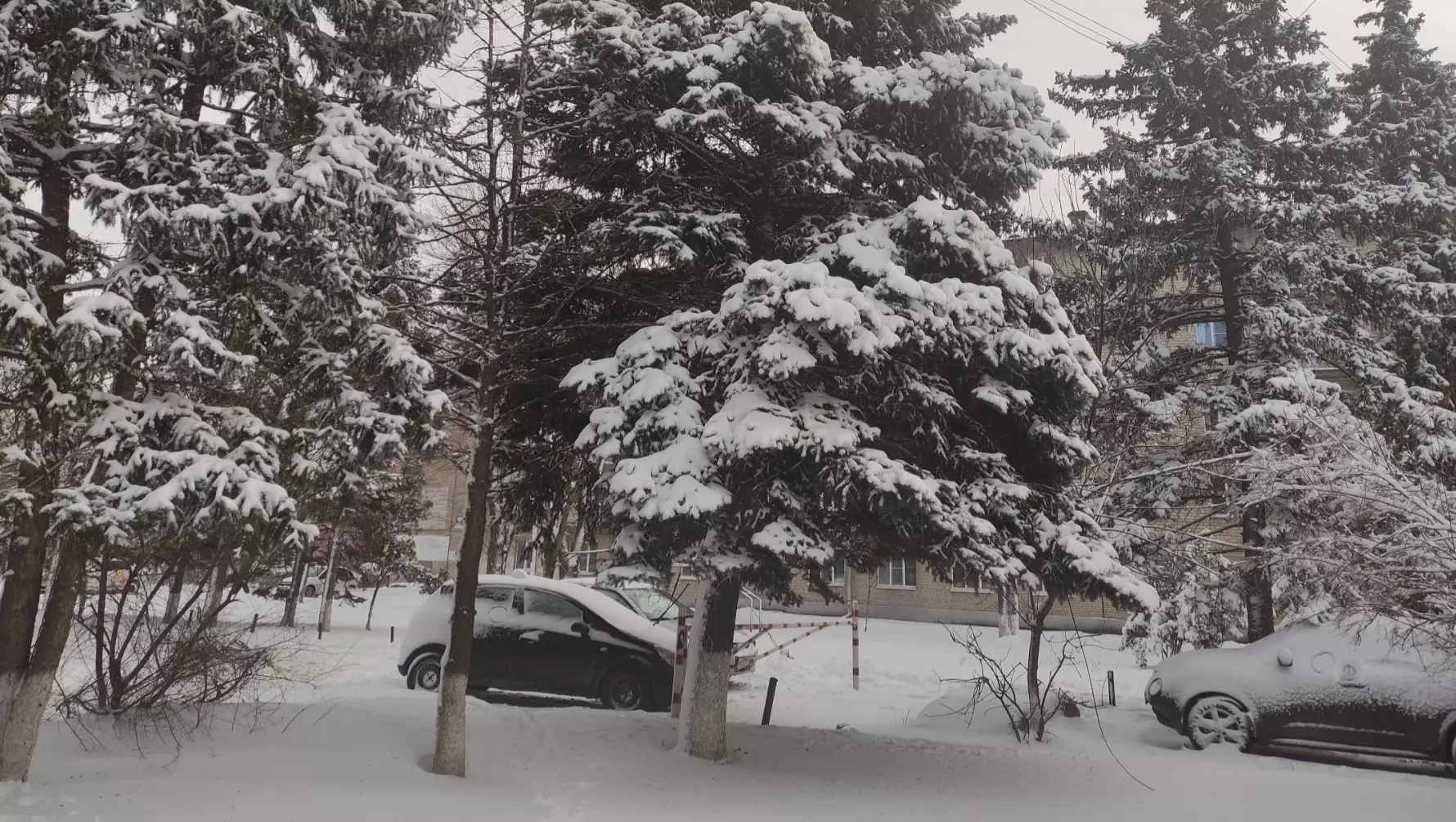 Жители Гуково рассказали, как город оказался в коллапсе из-за сильного снегопада