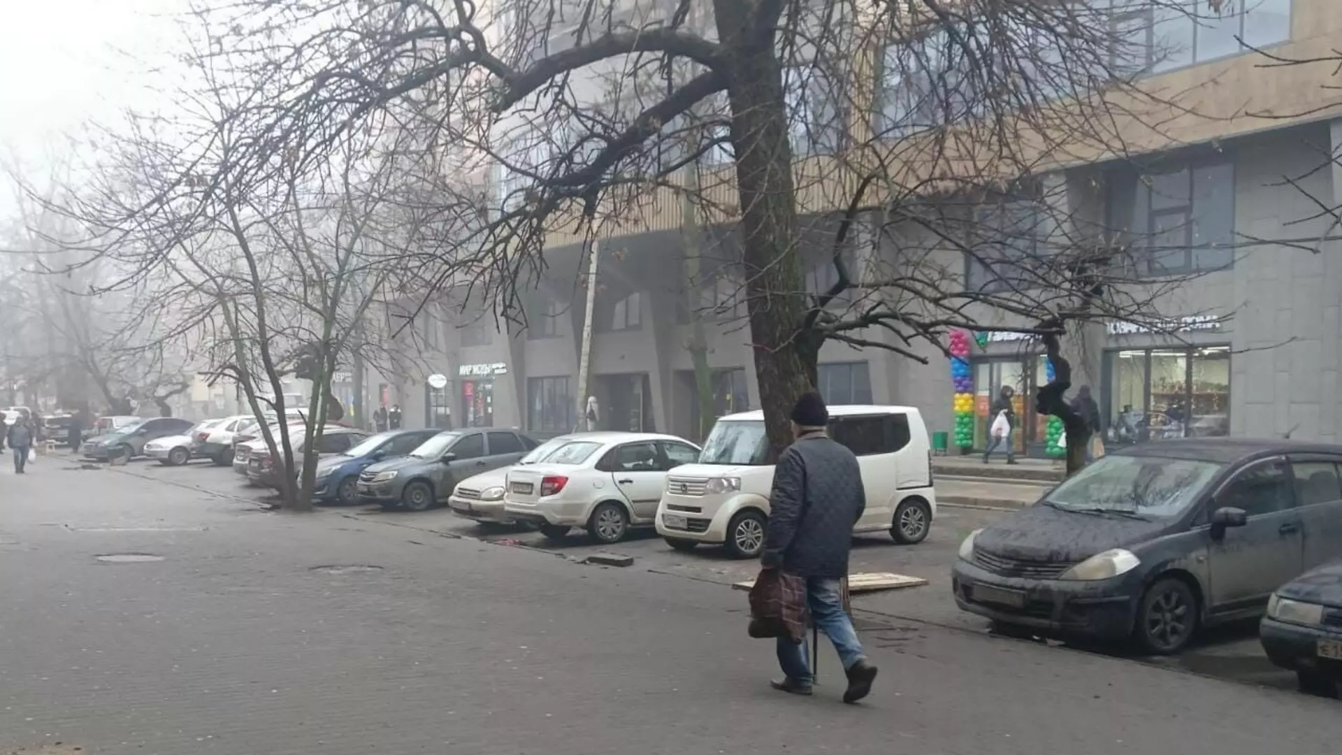 Многострадальная Сержантова: как нелегальные рынки и парковки мешают жить ростовчанам