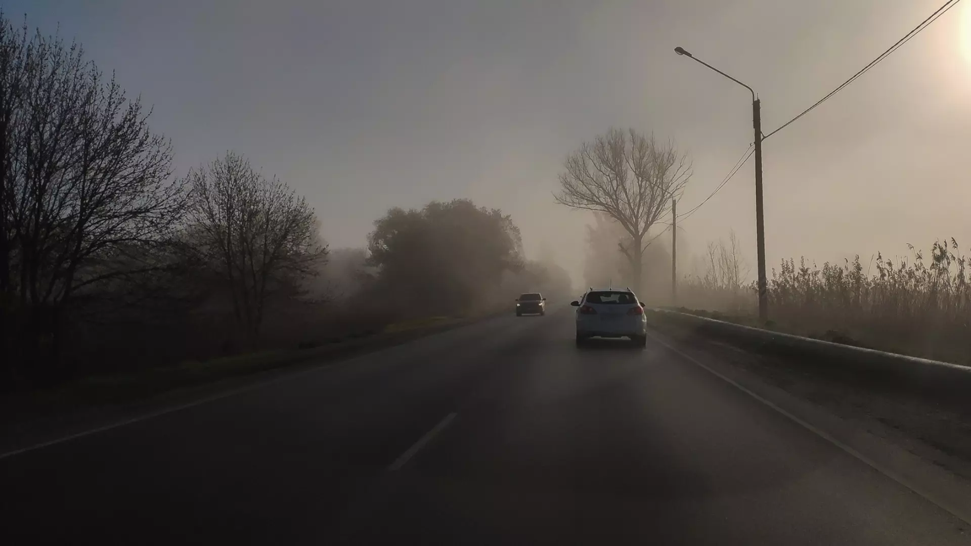 Дожди и туман накроют Ростовскую область с 5 ноября