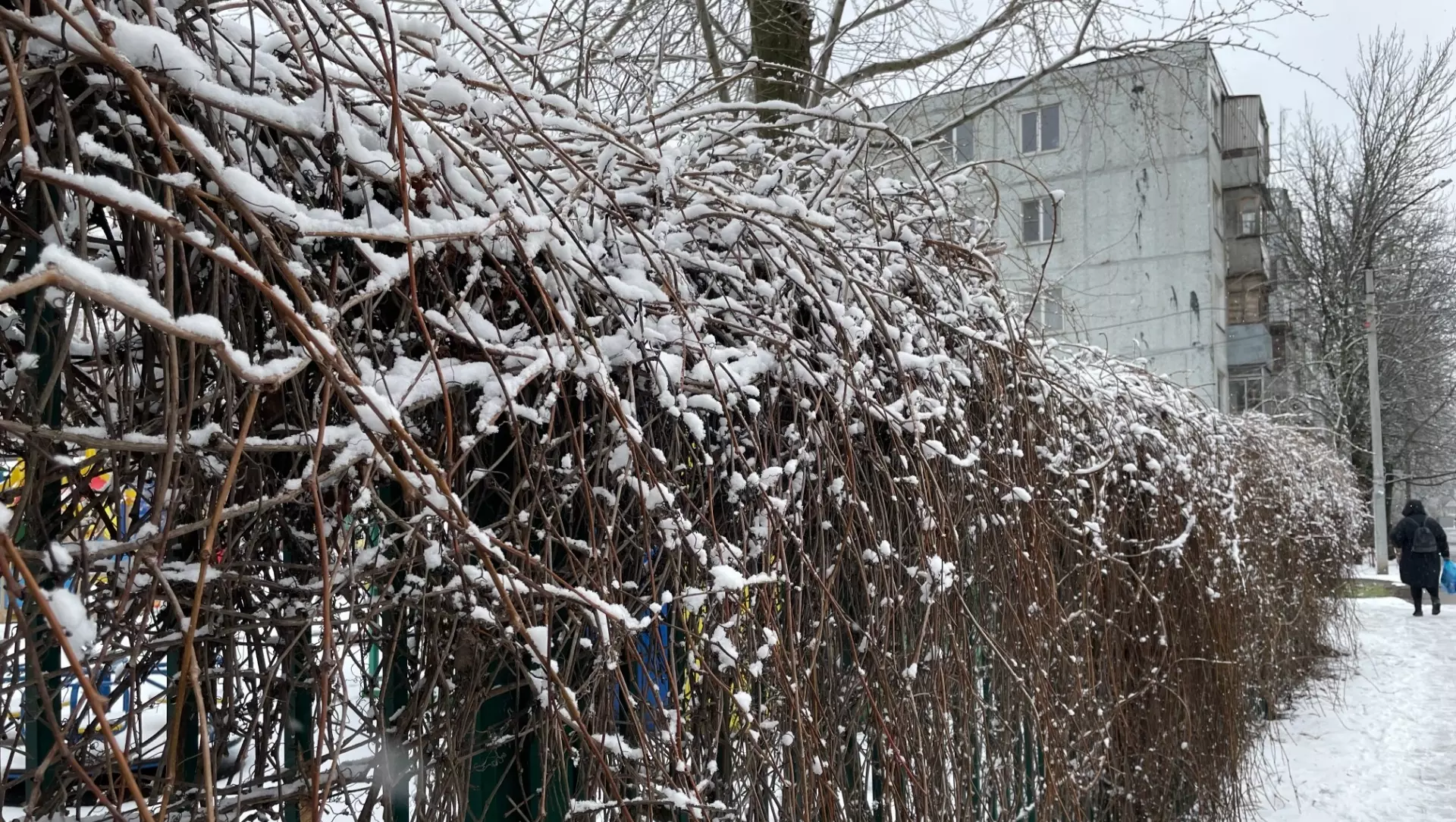Мокрый снег и дожди обрушатся на Ростовскую область 11 февраля