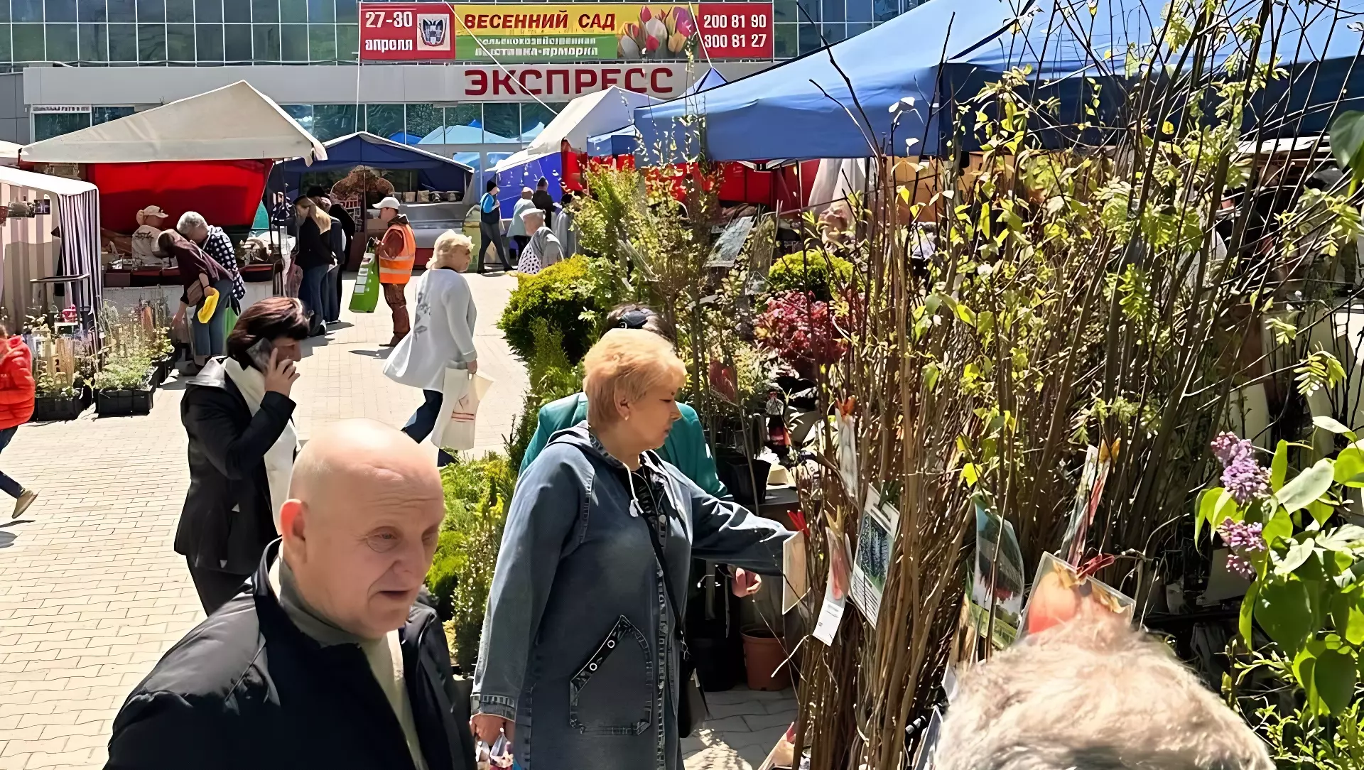 Цветущий «Весенний сад» в Ростове-на-Дону очарует с первого взгляда