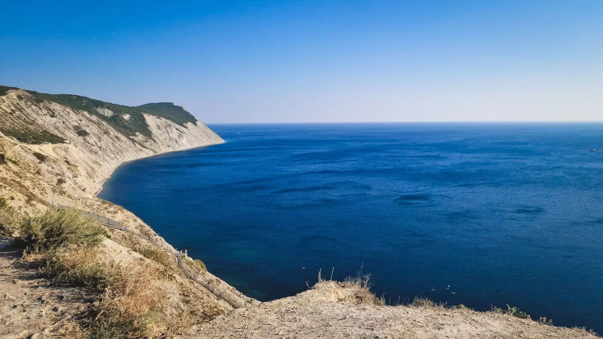 Из-за повышения солености воды в Азовском море в Ростовской области стало много медуз