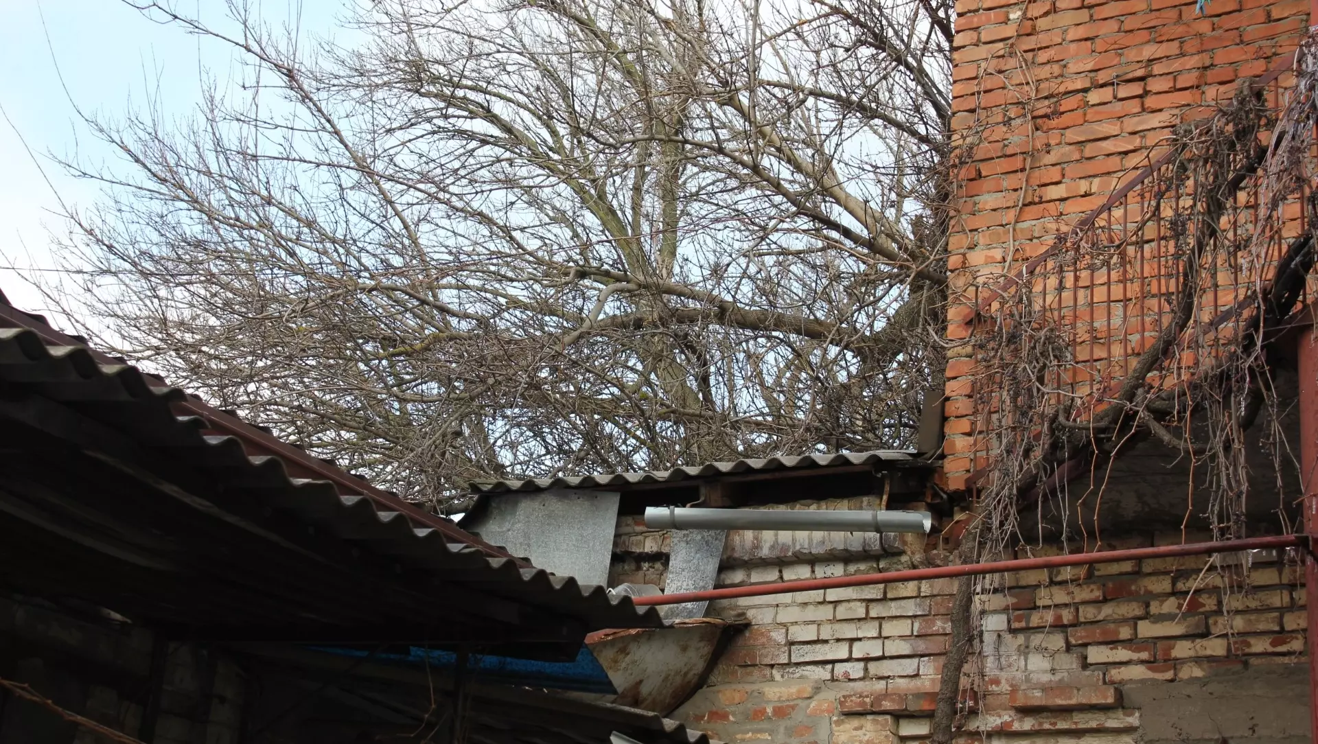 Три месяца протекает крыша жилого дома из-за упавшего дерева в Ростове