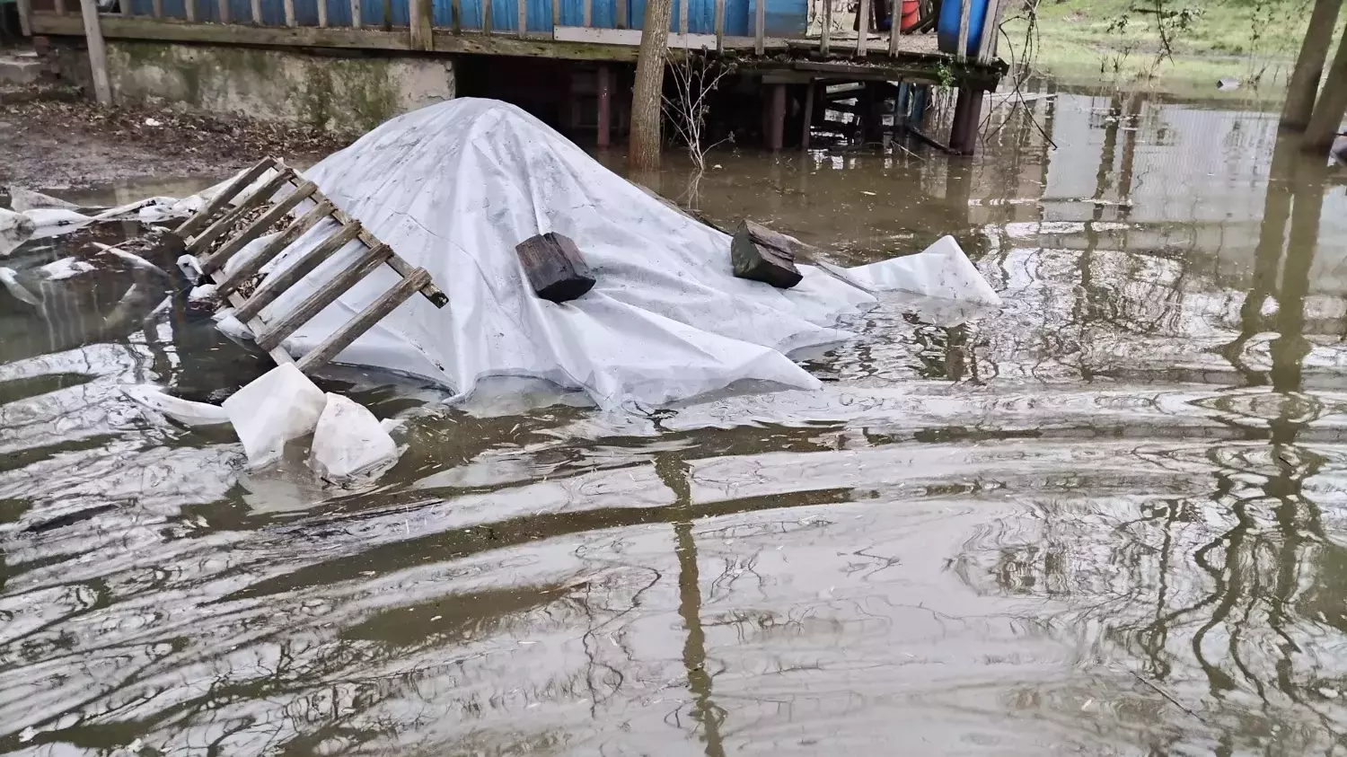 Власти назвали причины затопления домов на улице Шоссейной в Ростове