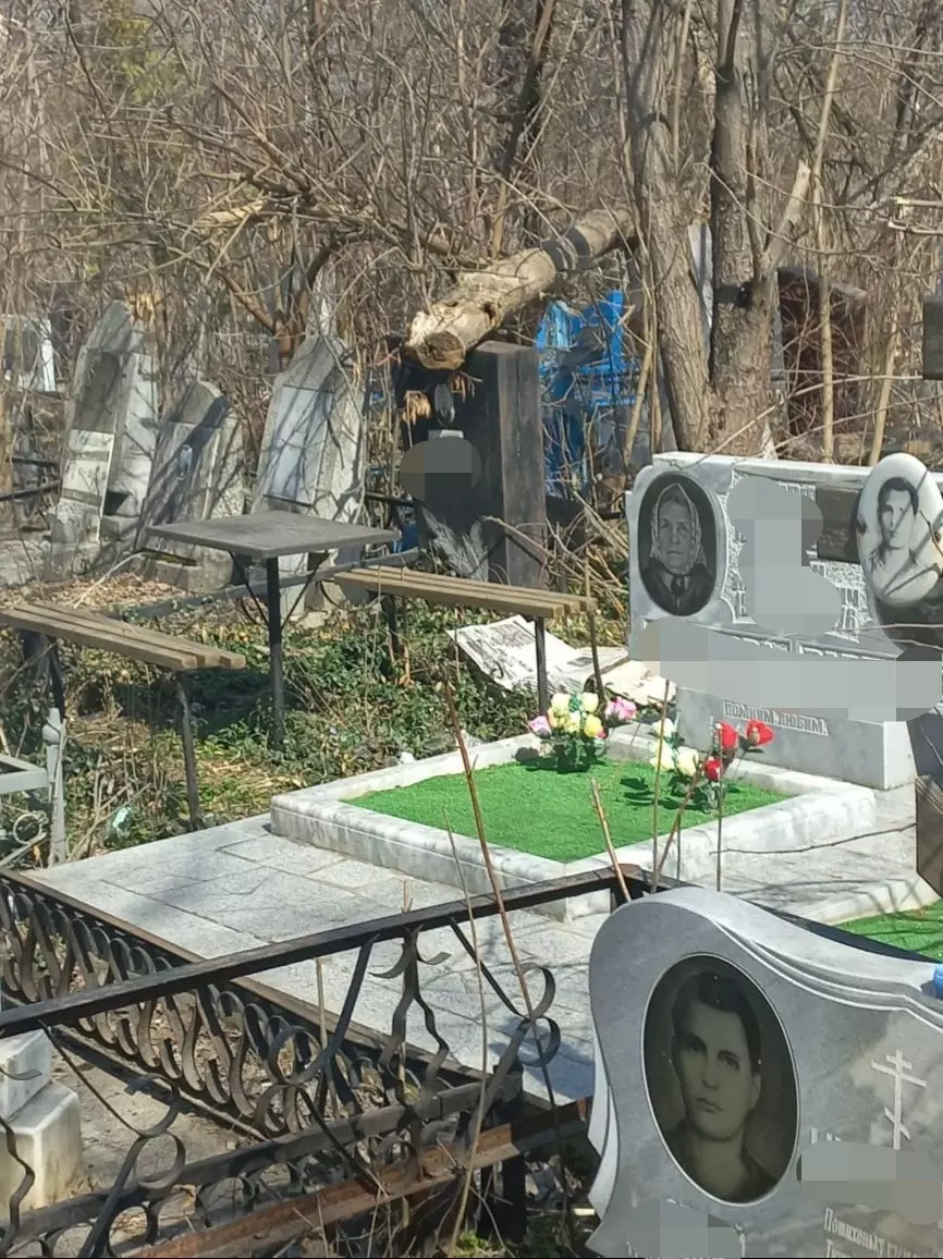 В администрации кладбища корреспонденту RostovGazeta заявили, что падающие сухие деревья — это частое явление, с которым якобы ничего не сделать