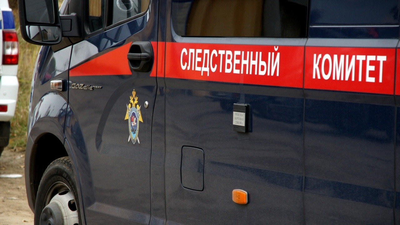 Жительницу Неклиновского района осудят за ложный донос 