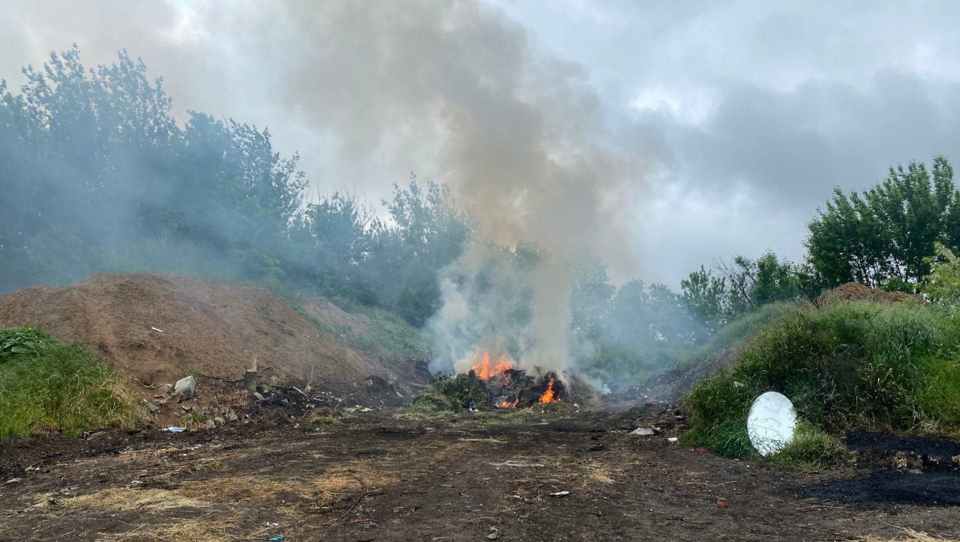 В Ростовской области выписали первые штрафы за сожженную траву