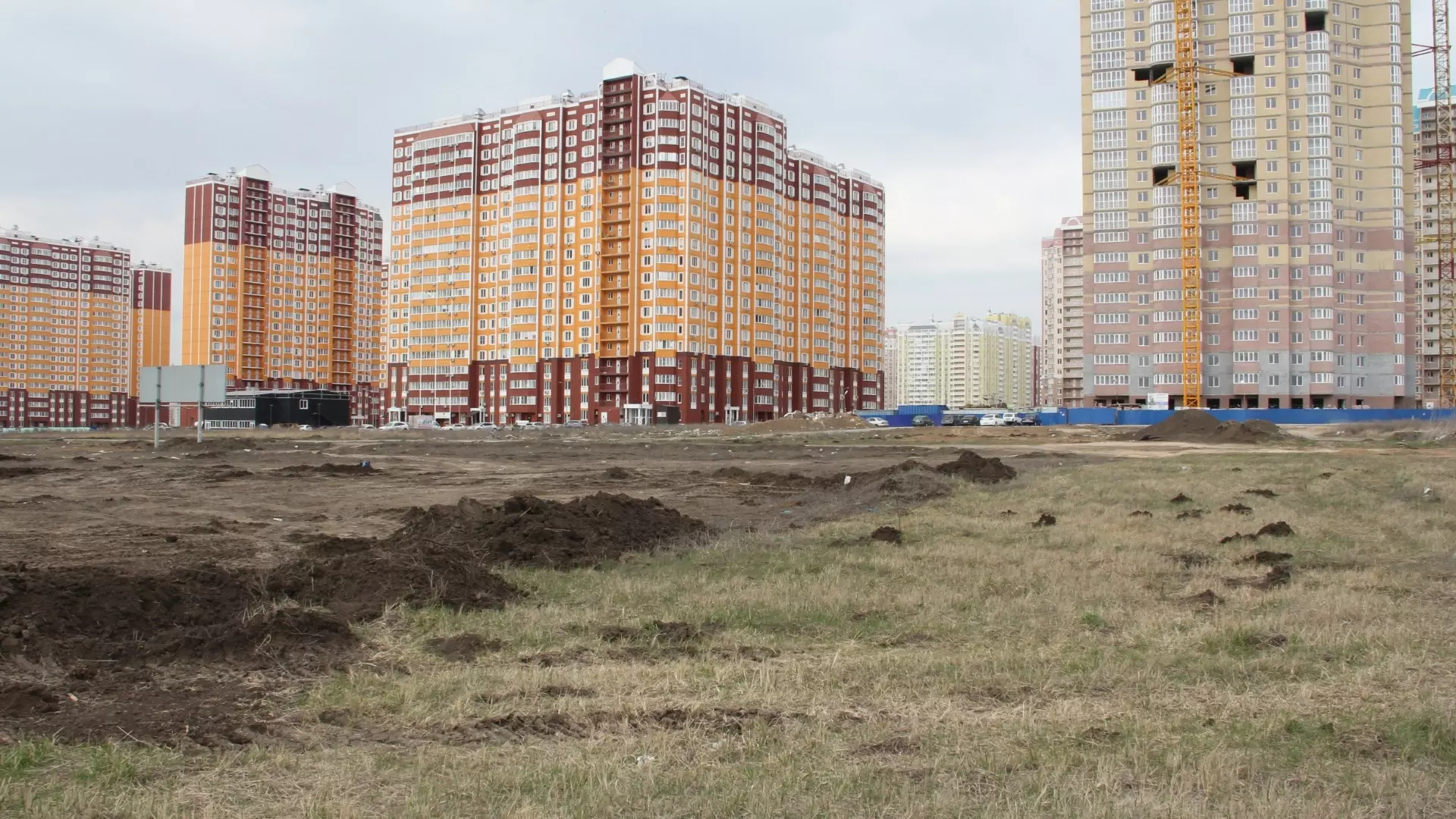 В Ростовской области появятся операторы комплексного развития. Чем они займутся?