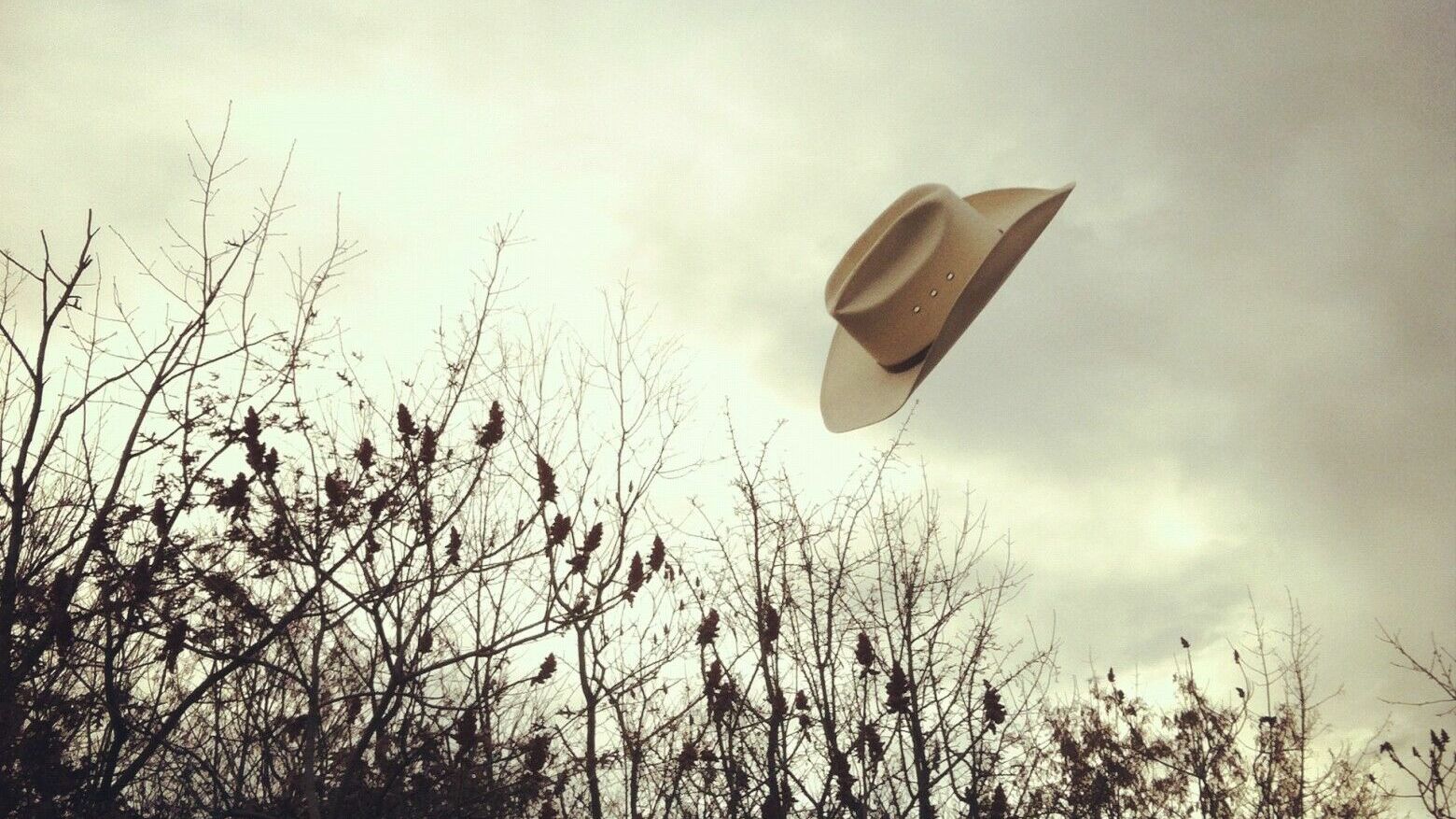 Летела шляпа. Шляпа на ветру. Шляпа улетела. Летающая шляпа. Соломенная шляпа на ветру.
