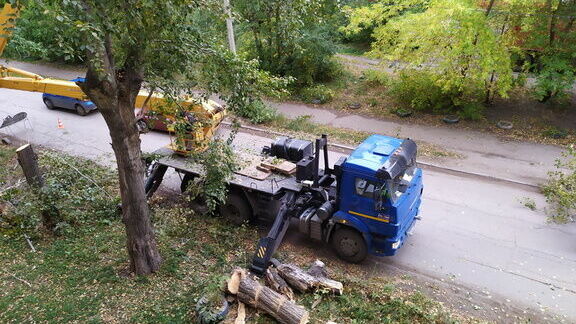 Огромное дерево рухнуло на иномарку в Ростове-на-Дону утром 15 апреля