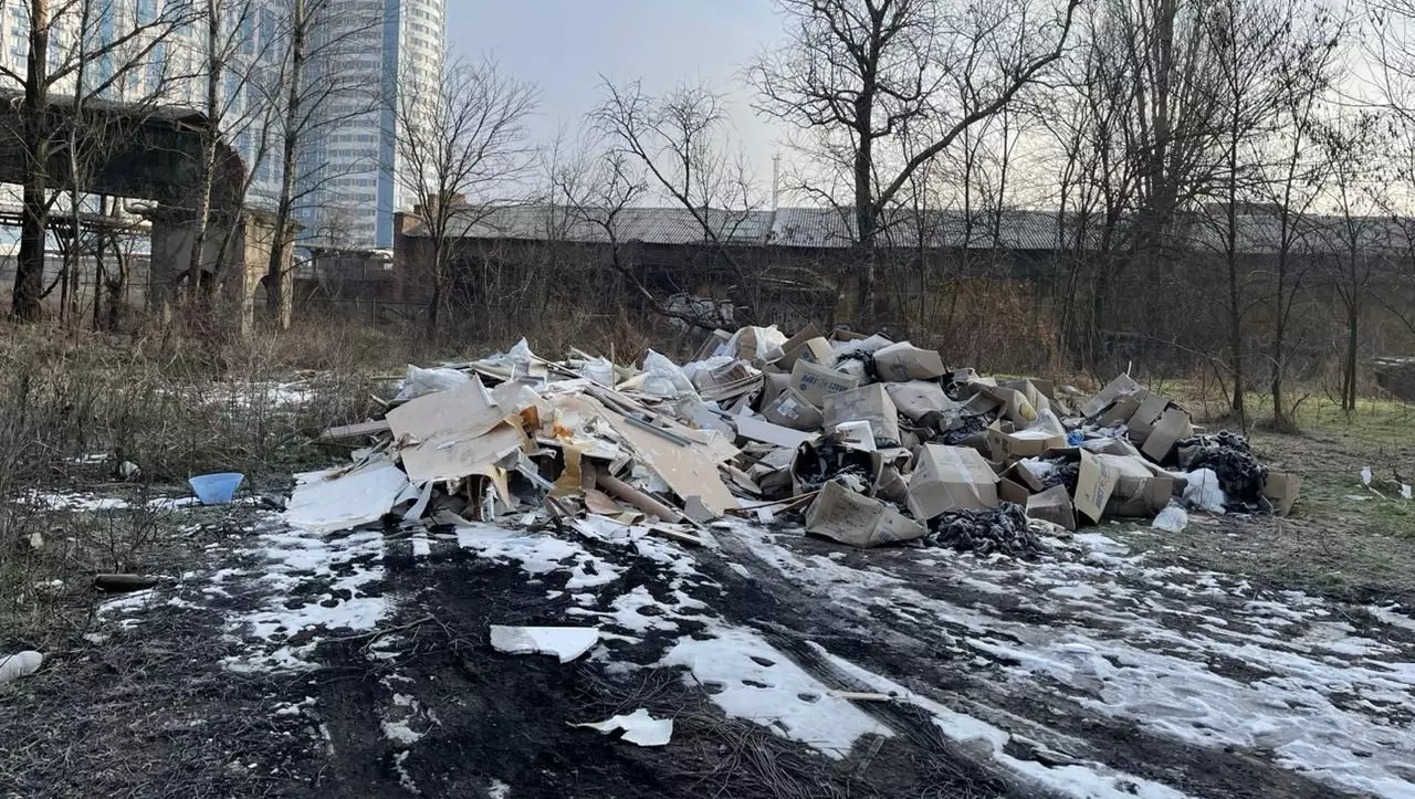Роща возле ЖК "Державинский" в Ростове зарастает мусором