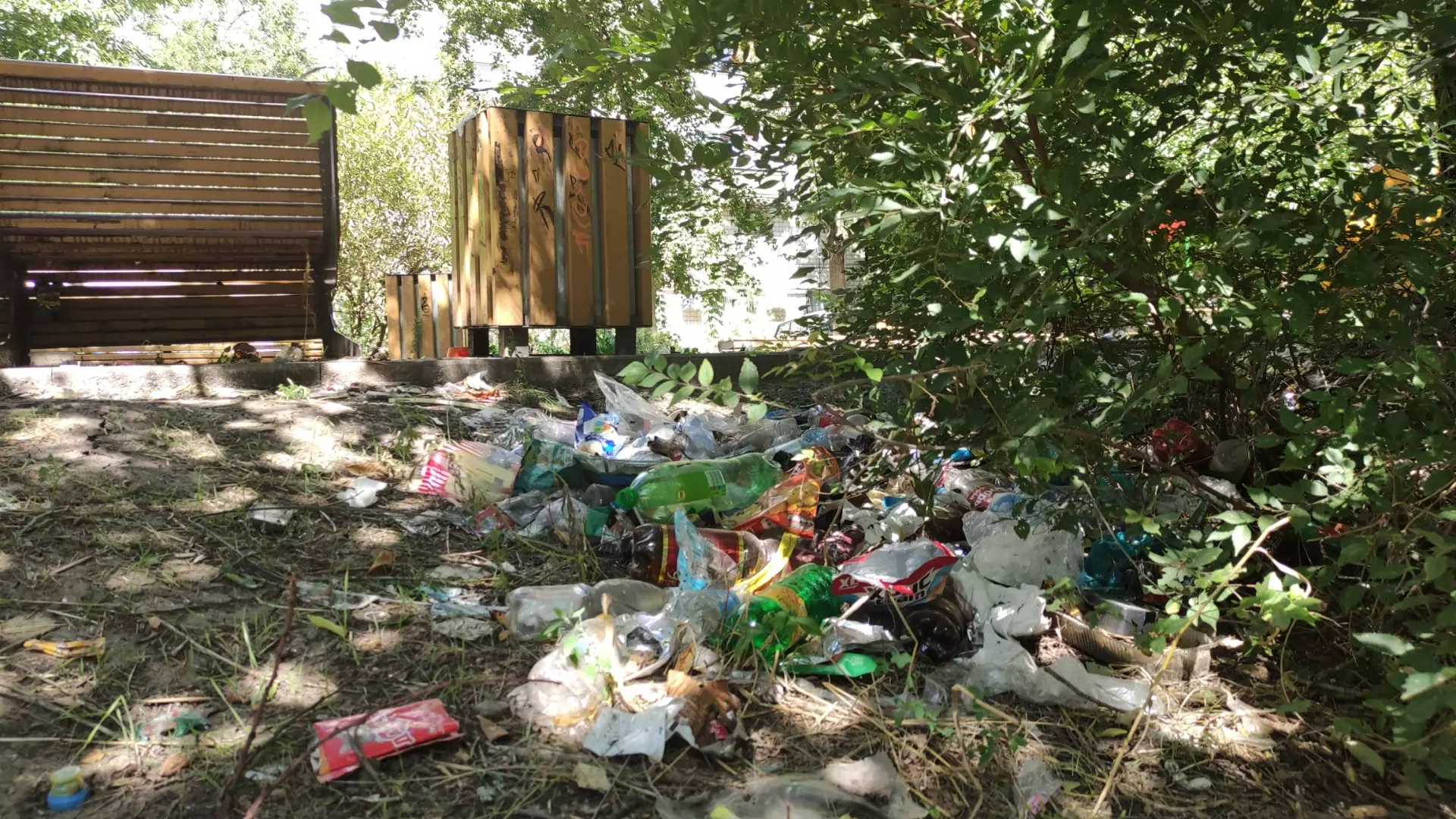 Почему улицы и дворы Ростова заполонили использованные пластиковые бутылки