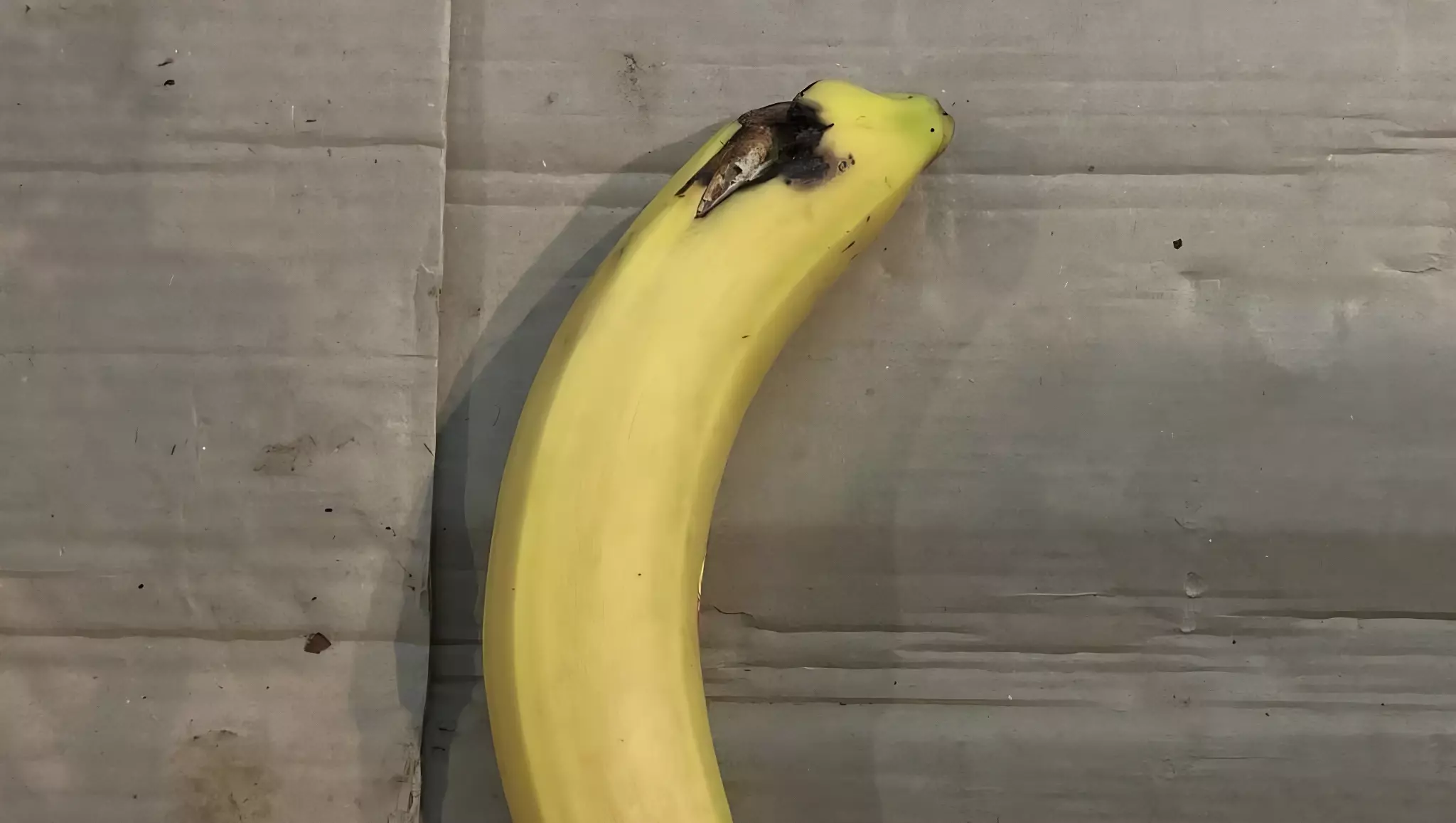 Стала известна причина резкого подорожания бананов в Ростовской области