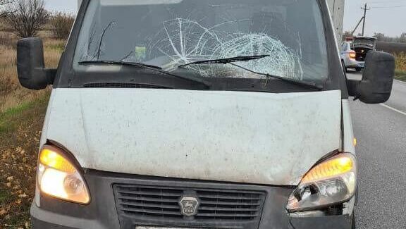 В Ростовской области под колесами грузовика погиб 83-летний пешеход