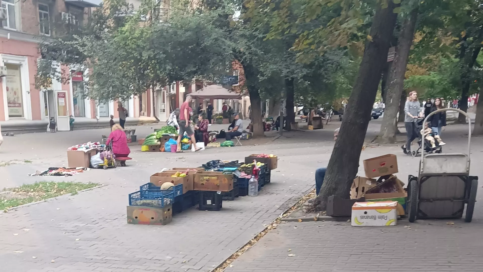 Власти Ростова три года не могут справиться с нелегальным рынком на улице Сержантова