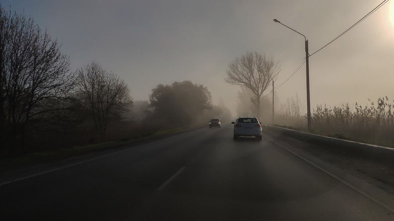 О тумане предупредили жителей Ростовской области