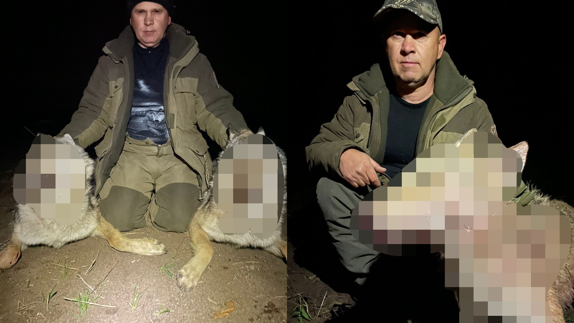 «Идет охота»: в Ростовской области ликвидировали огромного волка