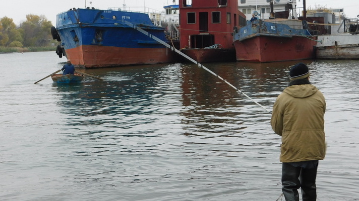 Печальные новости для рыбаков: в Ростовской области частично запретили ловить рыбу