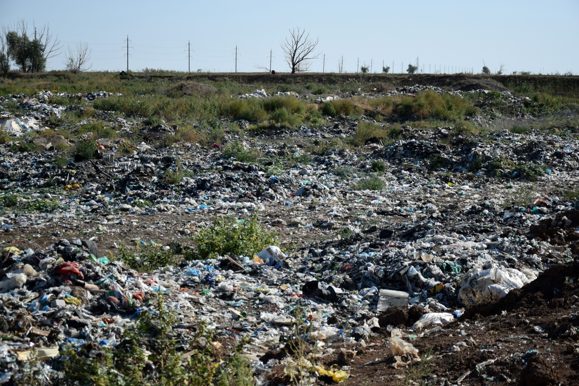 Строительство мусорного полигона в Кагальницком районе признали незаконным