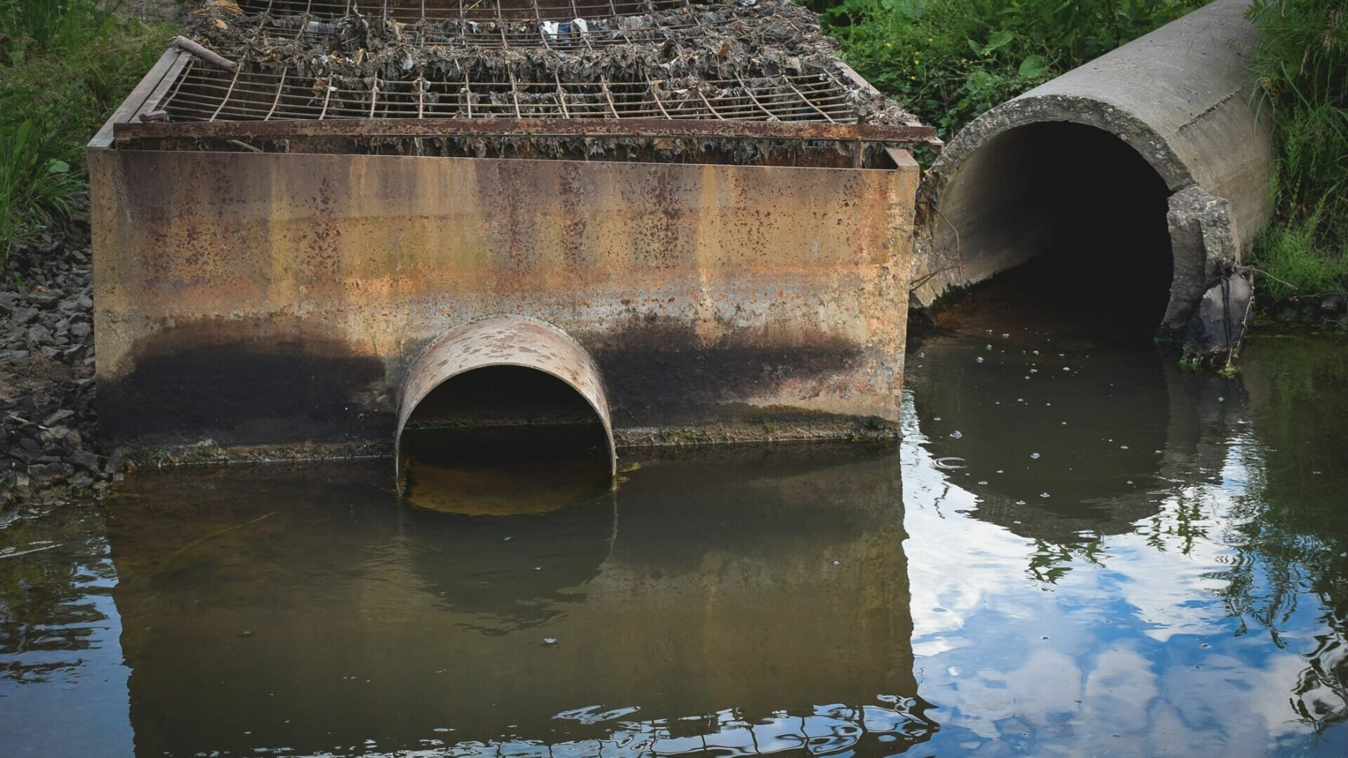 В Цимлянске сливали канализационные стоки прямо в реку