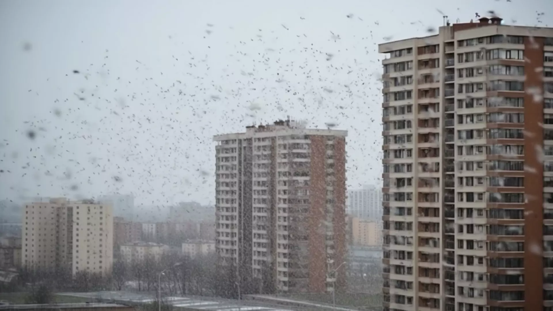 Синоптик Тишковец предупредил дончан о надвигающемся снегопаде