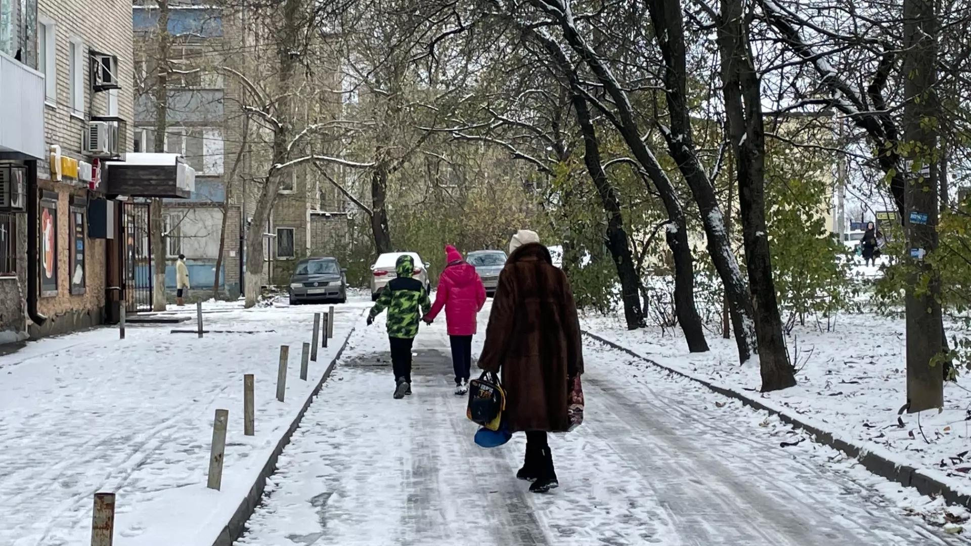 Климатолог Иошпа предупредил дончан о суровой зиме в Ростовской области