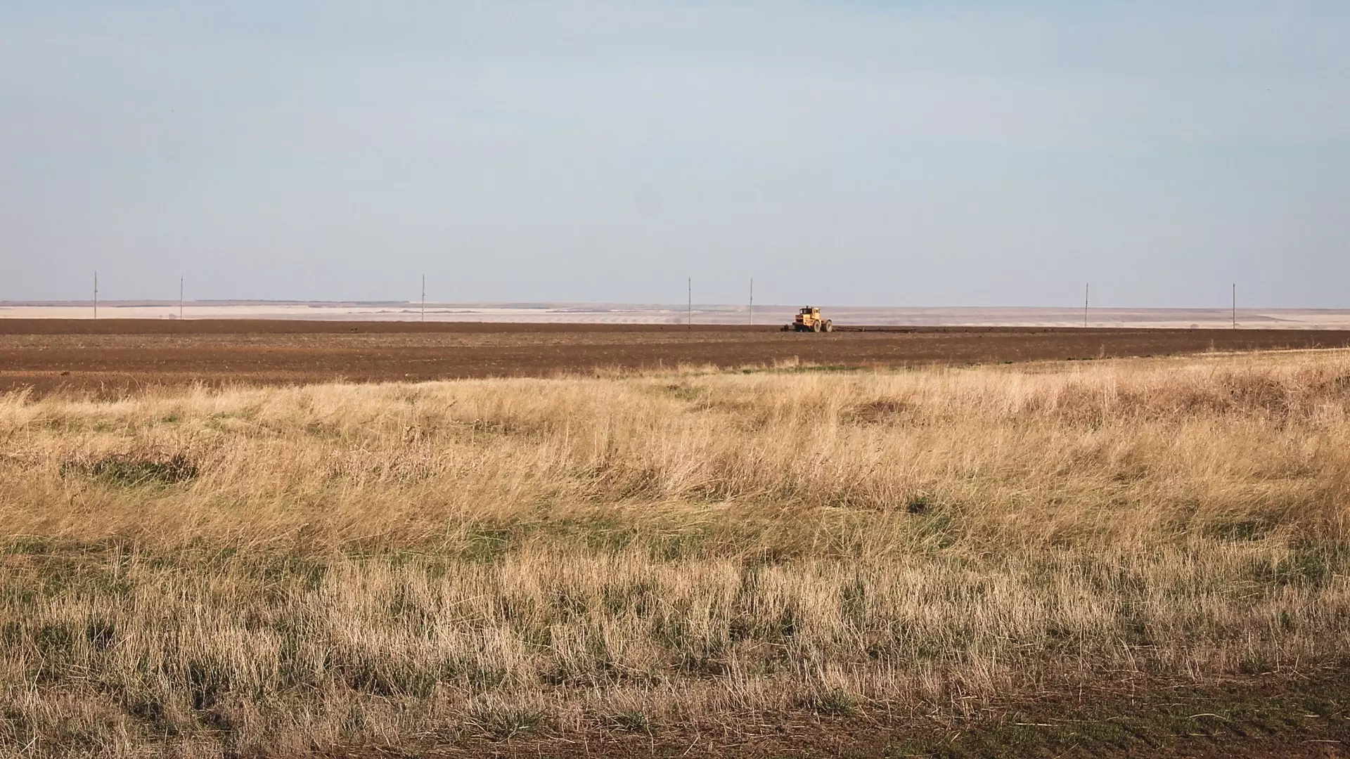 В Ростовской области увеличилось число брошенных сельхозземель