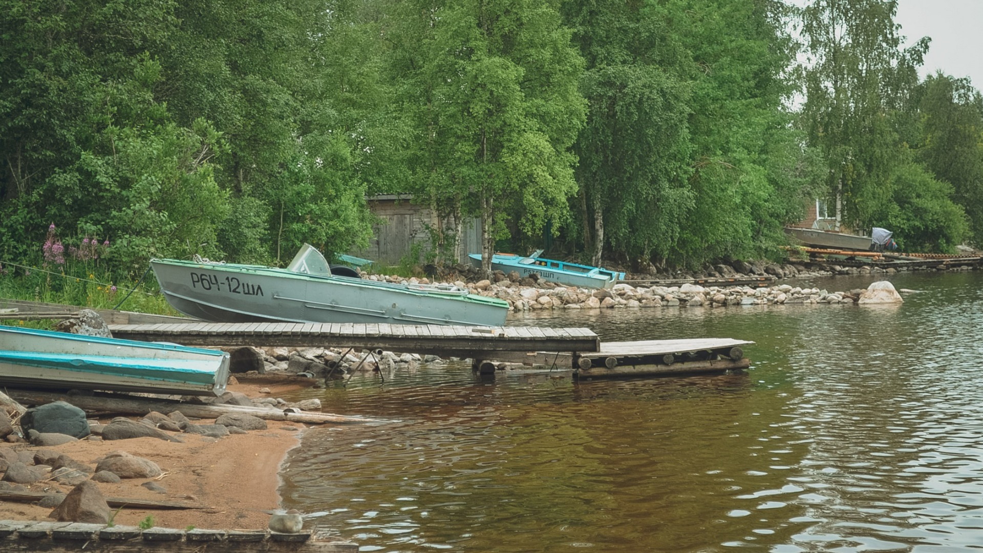 Жители Ростова жалуются на дохлую рыбу в воде рядом с Зеленым островом,