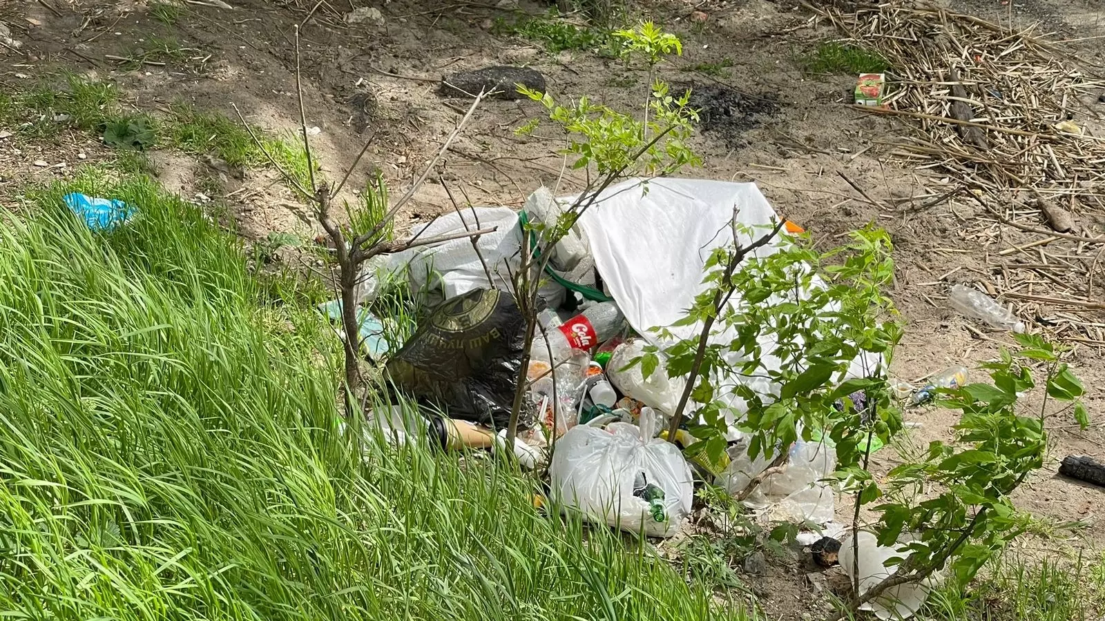 Ростовчане пожаловались на отдыхающих, которые оставляют мусор в роще возле Дона