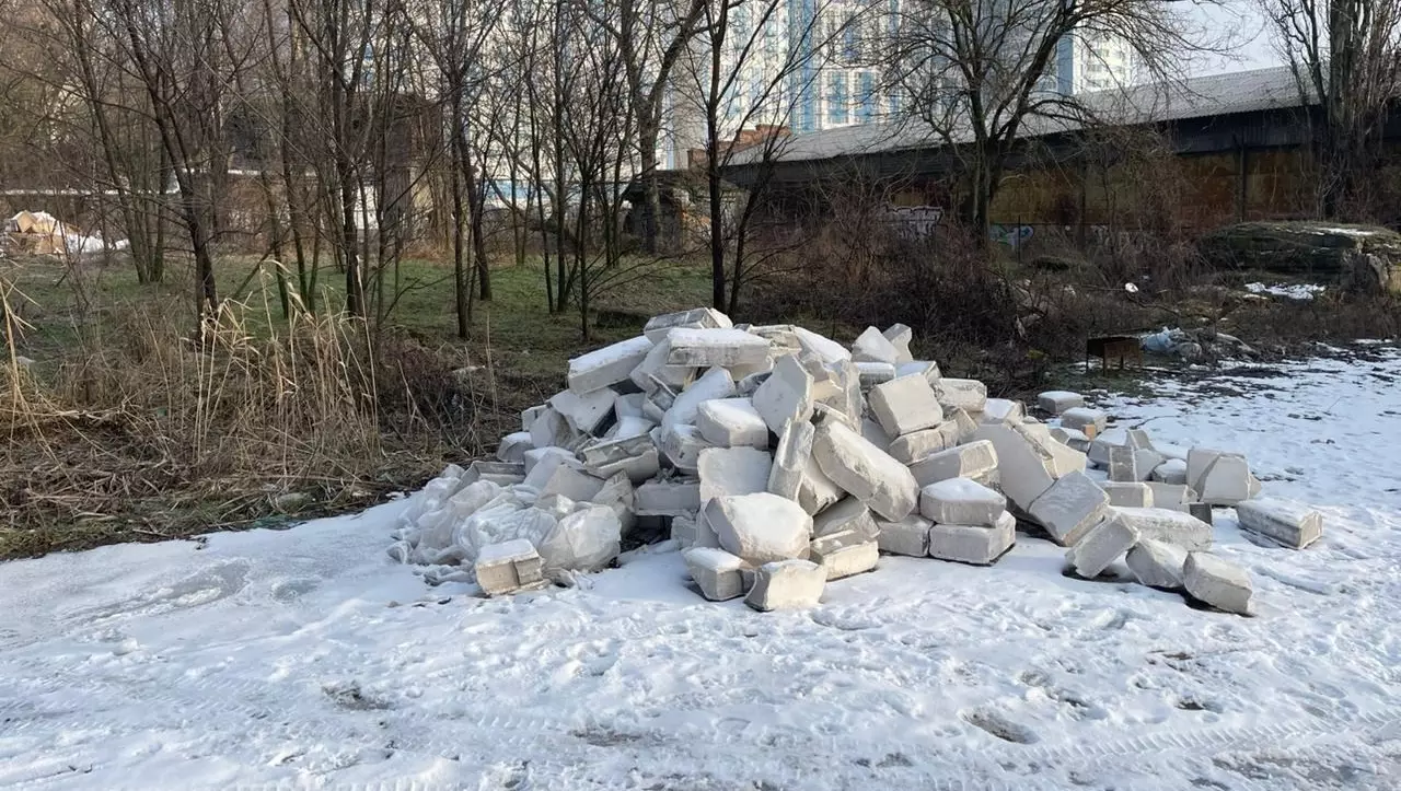 Как в роще на Береговой в Ростове появились строительные блоки