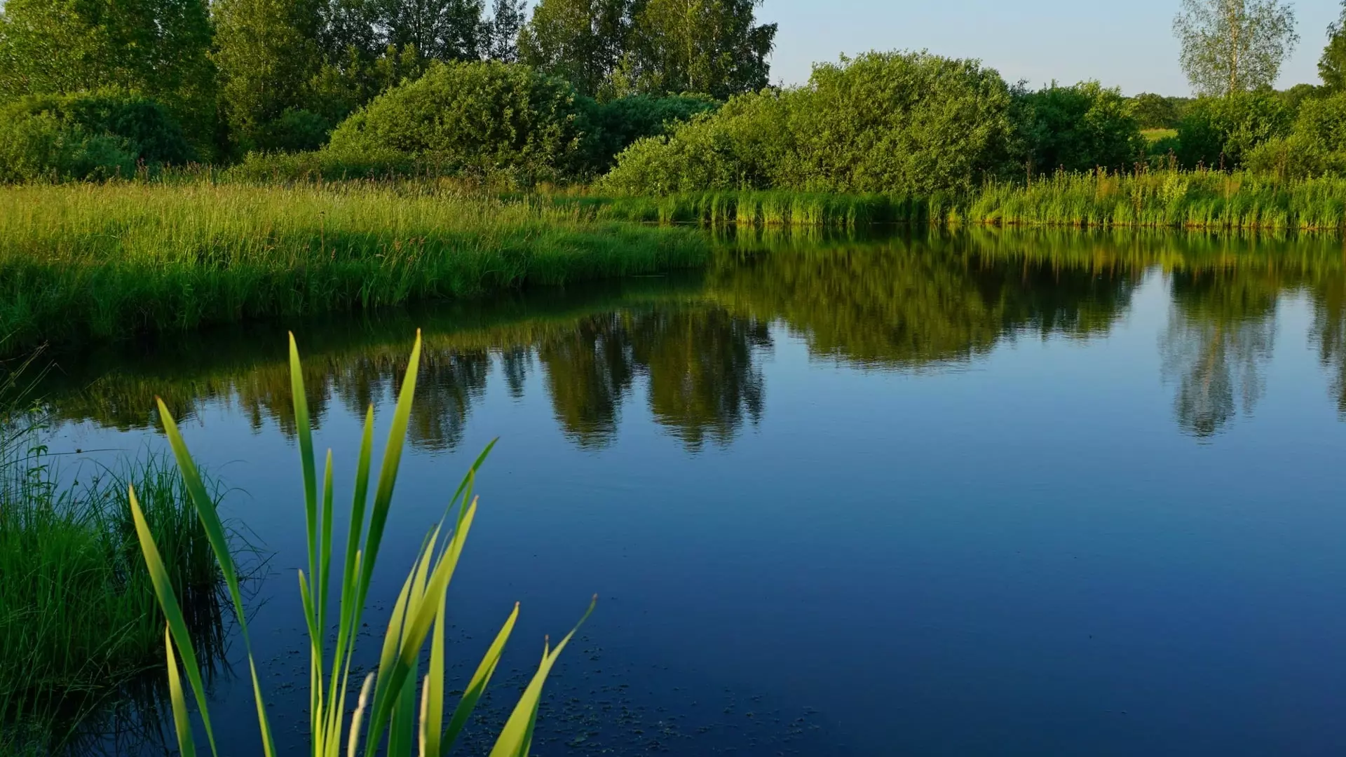 Власти планируют расчистить еще три реки в Ростовской области