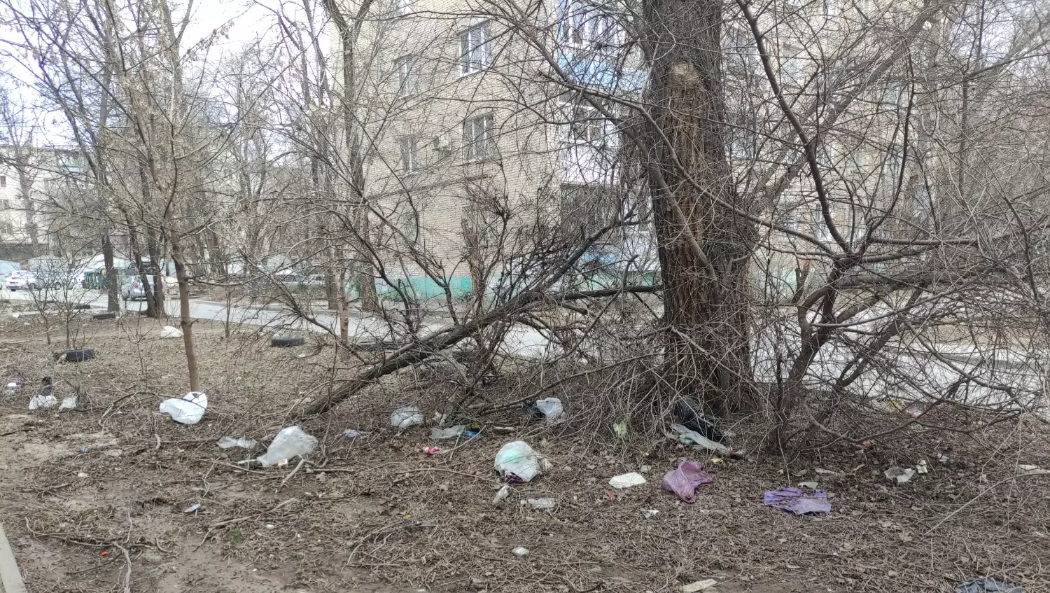 Ситуация с чистотой на улицах в Советском районе Ростова 