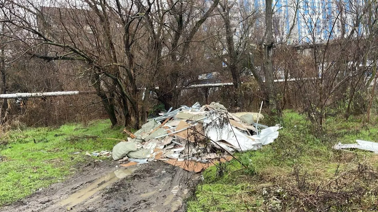 В роще в центре Ростова появилась еще одна свалка строительного мусора