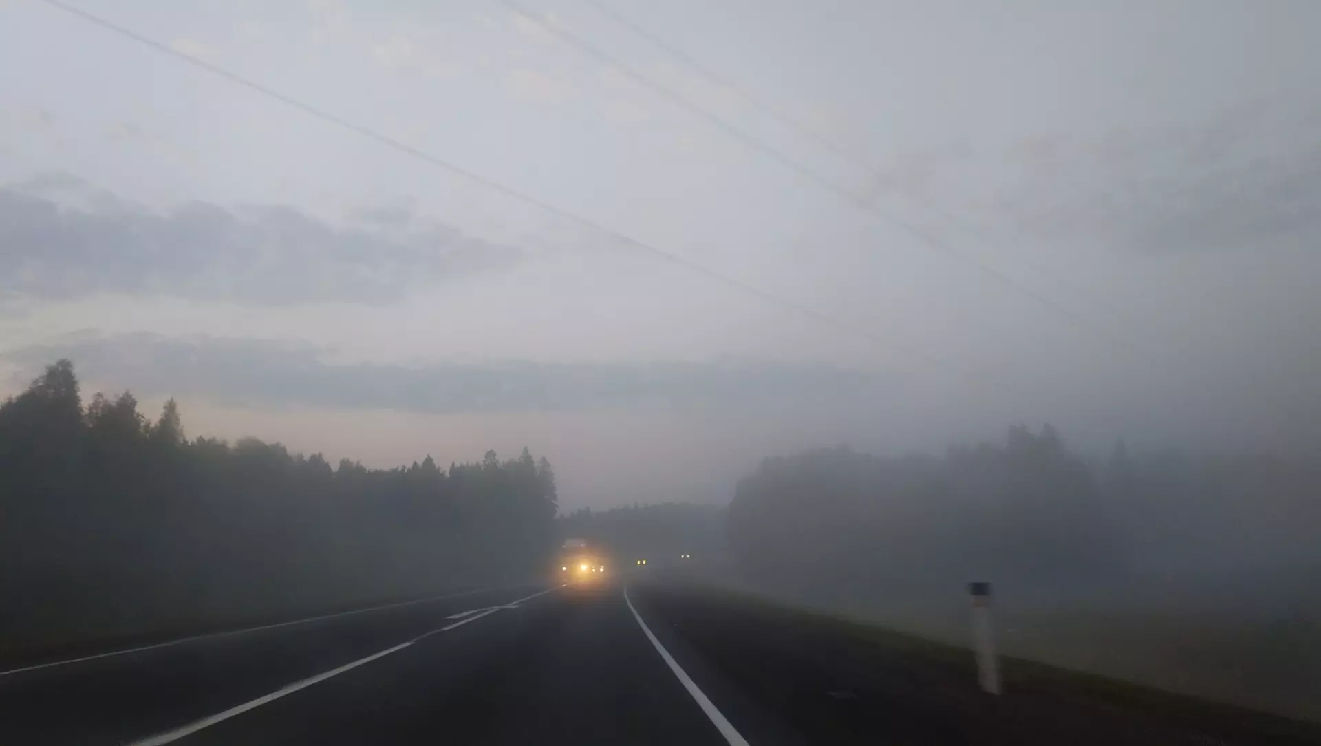 ГИБДД предупредили дончан об опасном тумане на дорогах Ростовской области
