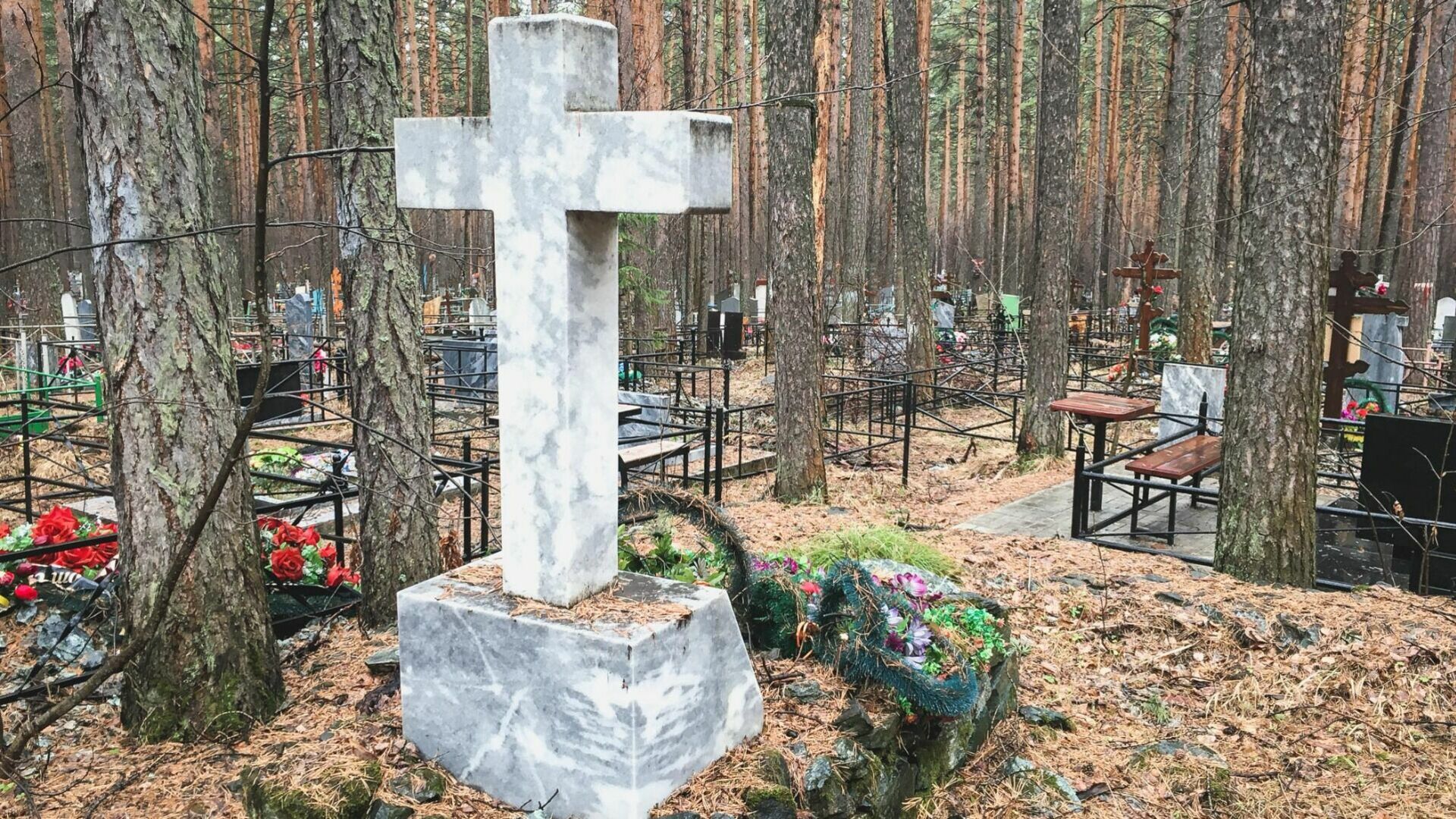 В Ростове не нашли денег на инвентаризацию могил на кладбищах
