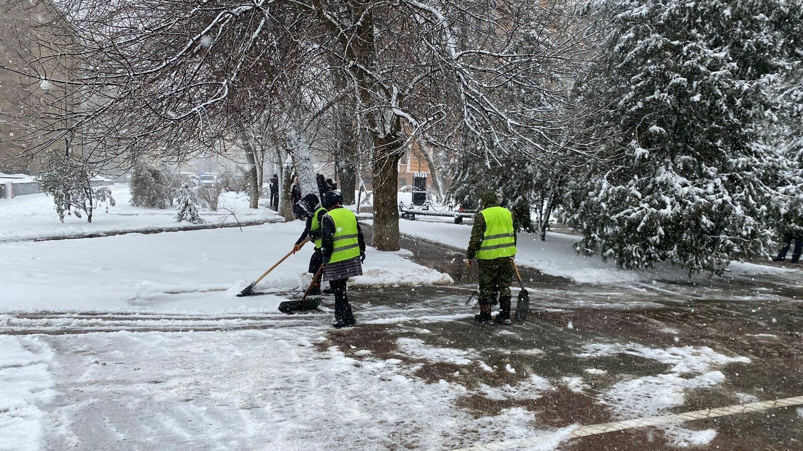 Ростовчане заявили, что коммунальщики не справляются со снегом днем 14 февраля